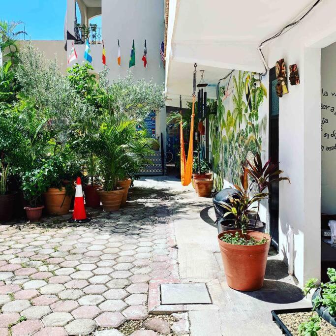 Suites Fenicia
