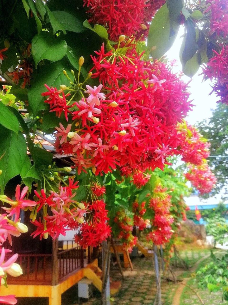 Hung Vuong Resort