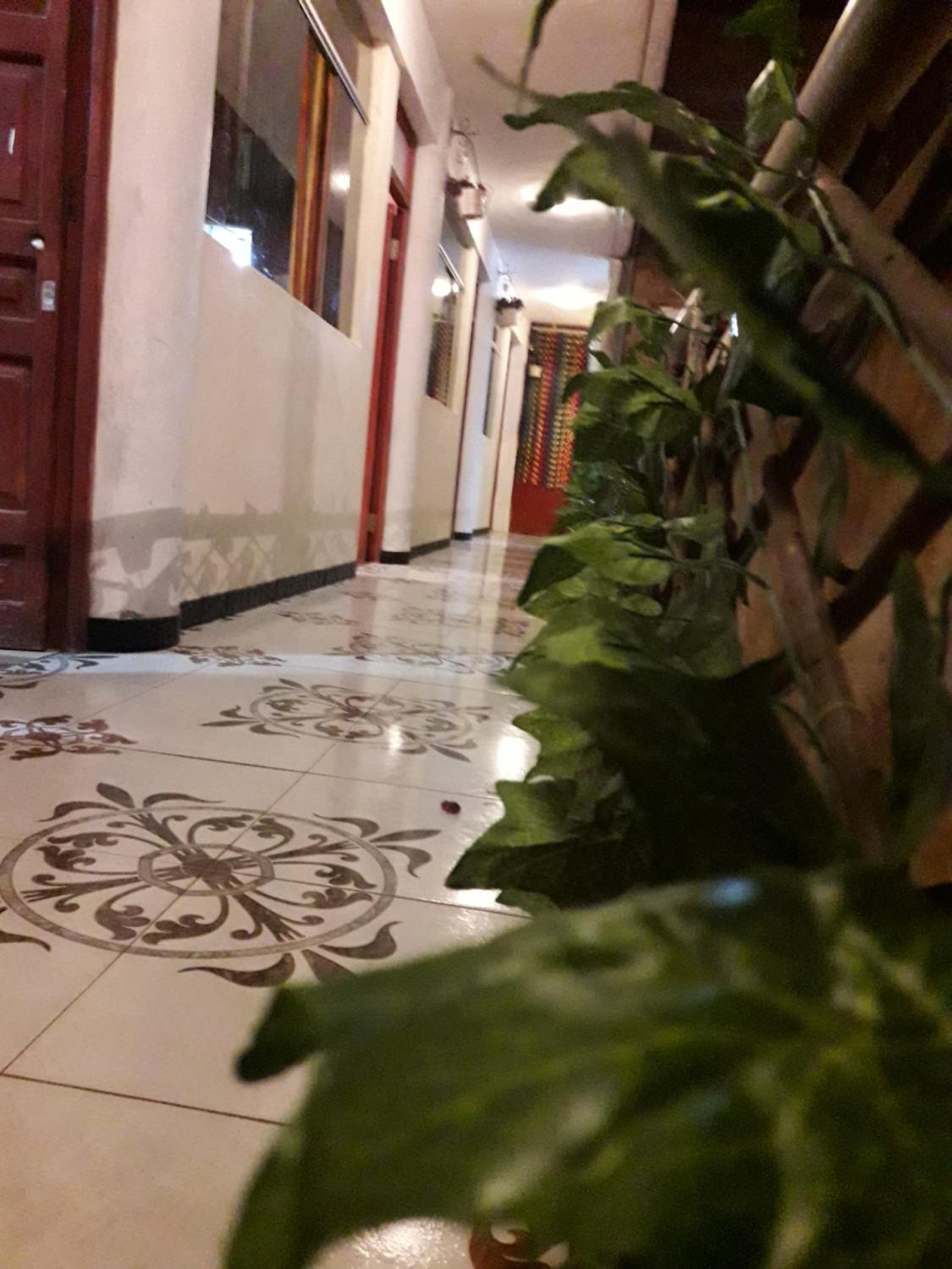 Photo 44