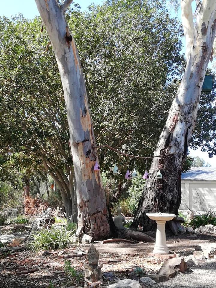 Maunder Cottage Aldinga Township