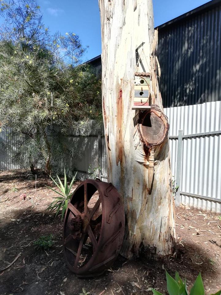 Maunder Cottage Aldinga Township