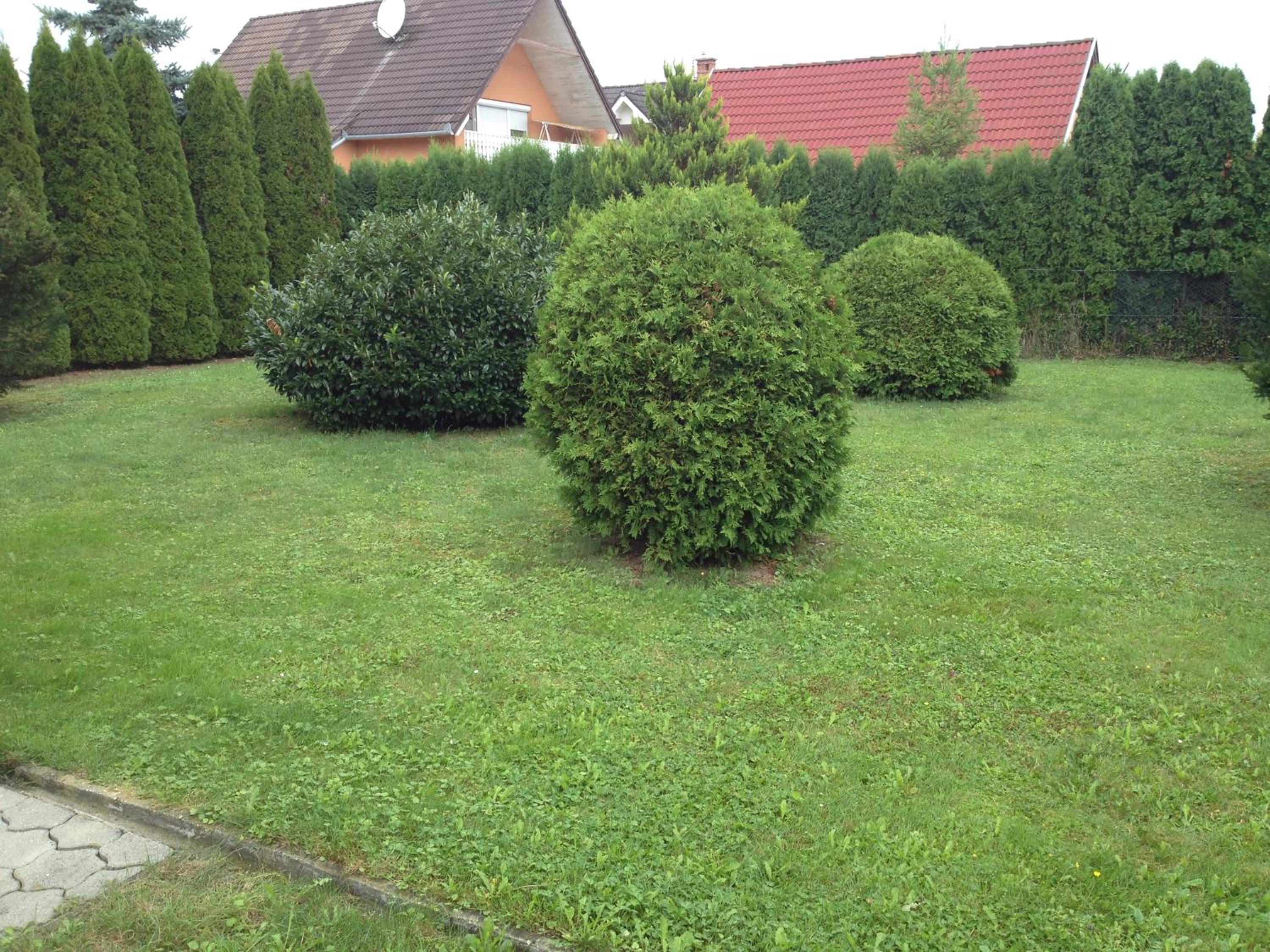 Photo 33