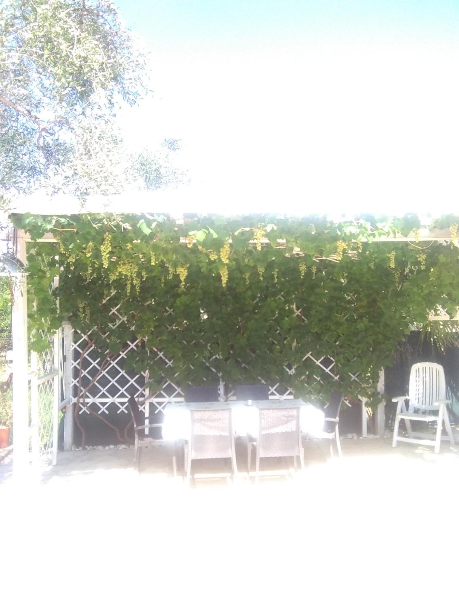 Villa Oleandro Pergola photo 5