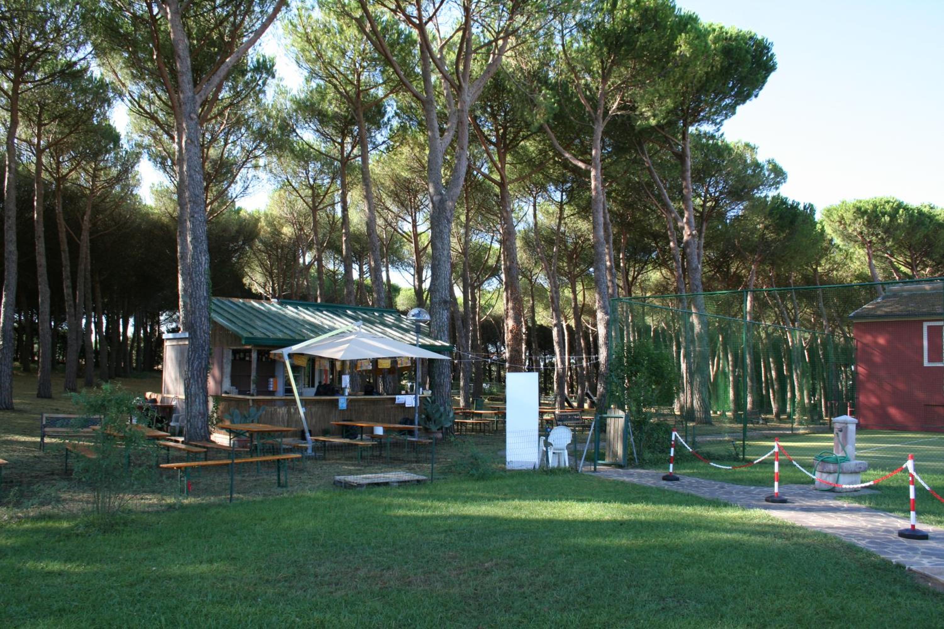 Hotel Villa dei Pini photo 4