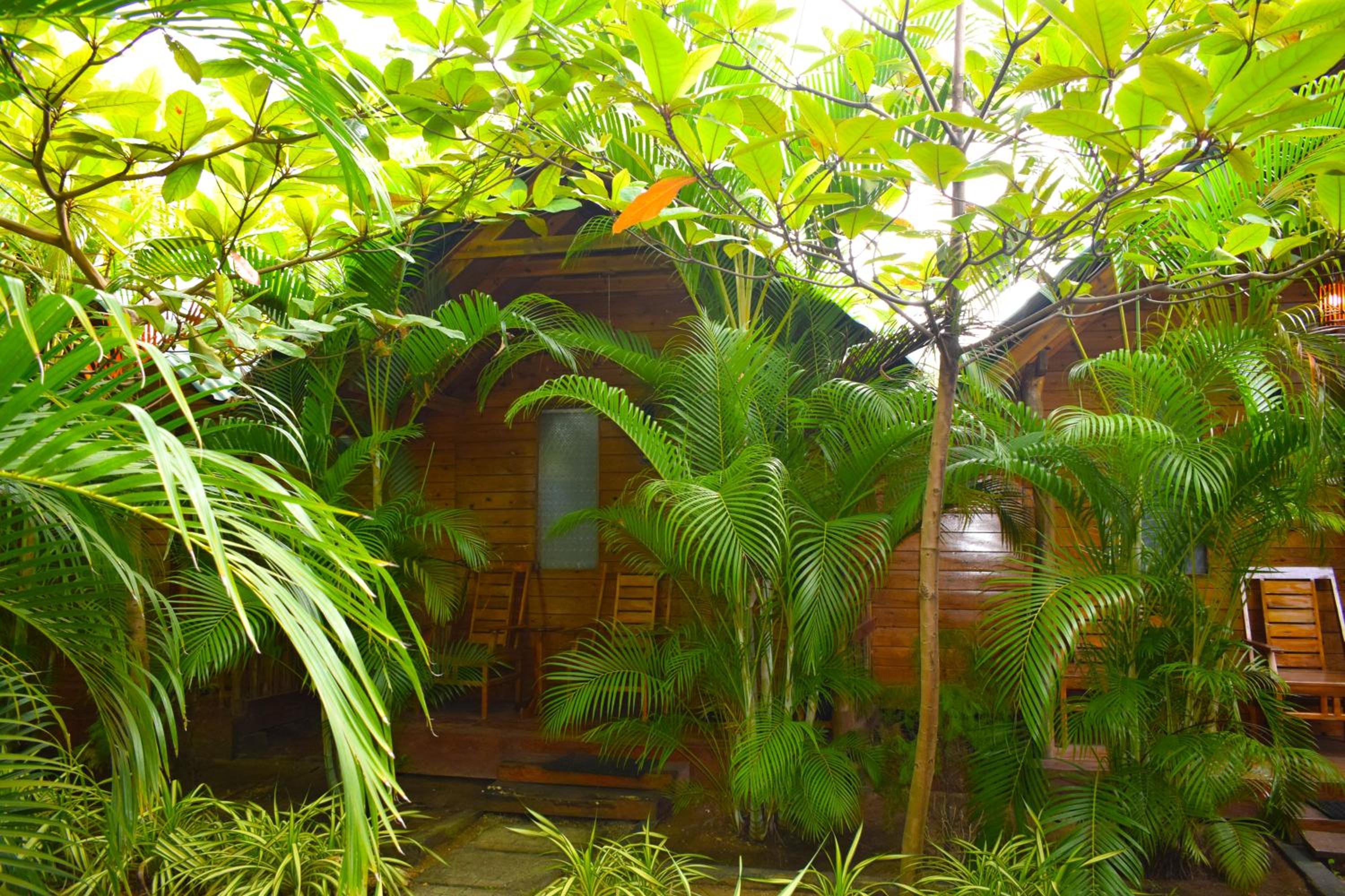Sasvi Cabana, photo 24