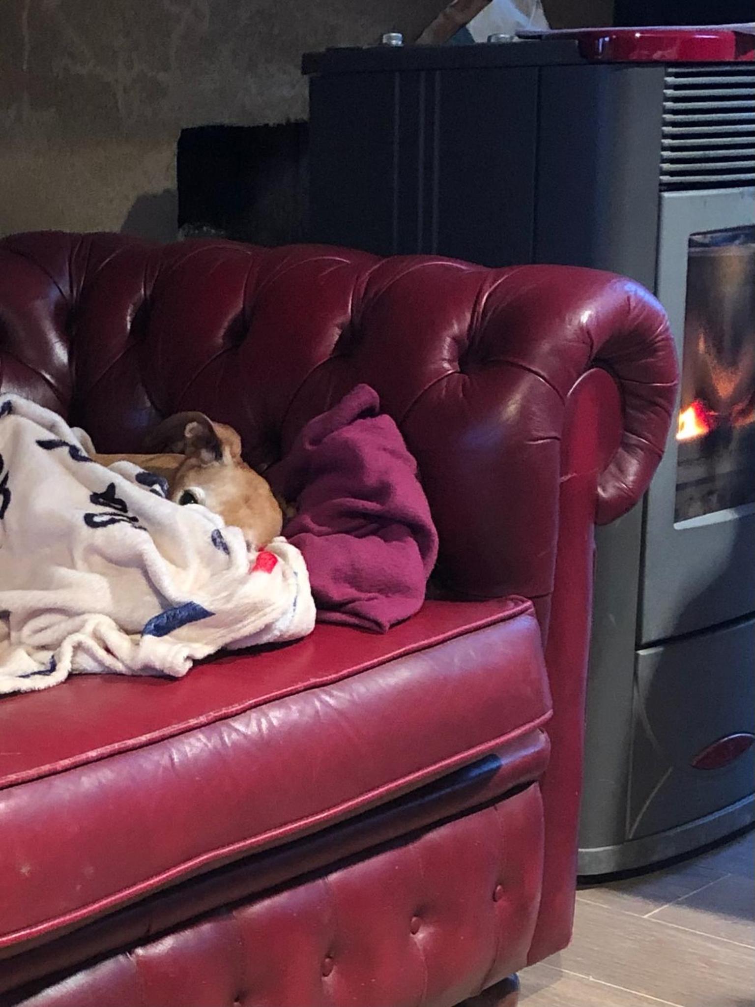 Gîte La Cure
