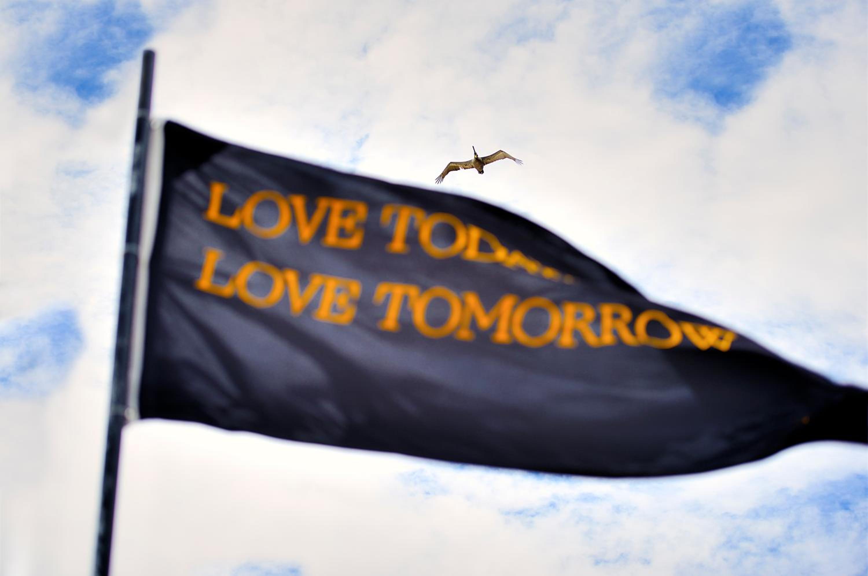 Tago Tulum by G Hotels - Property Image 44