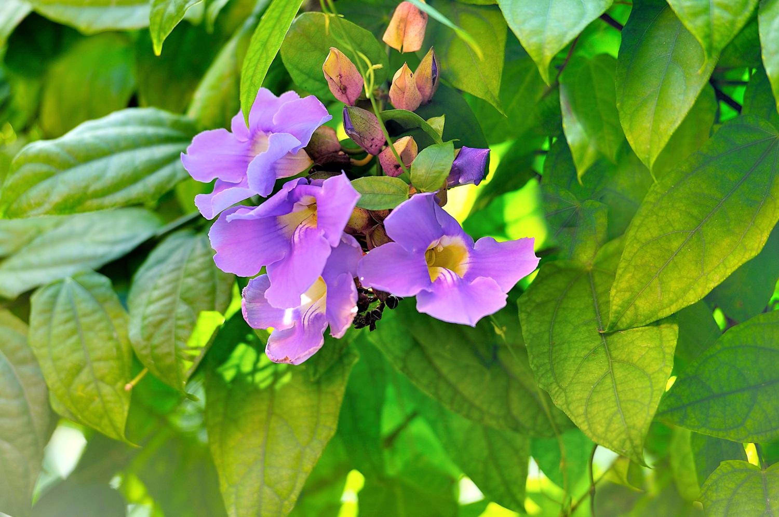 Tago Tulum by G Hotels - Property Image 114