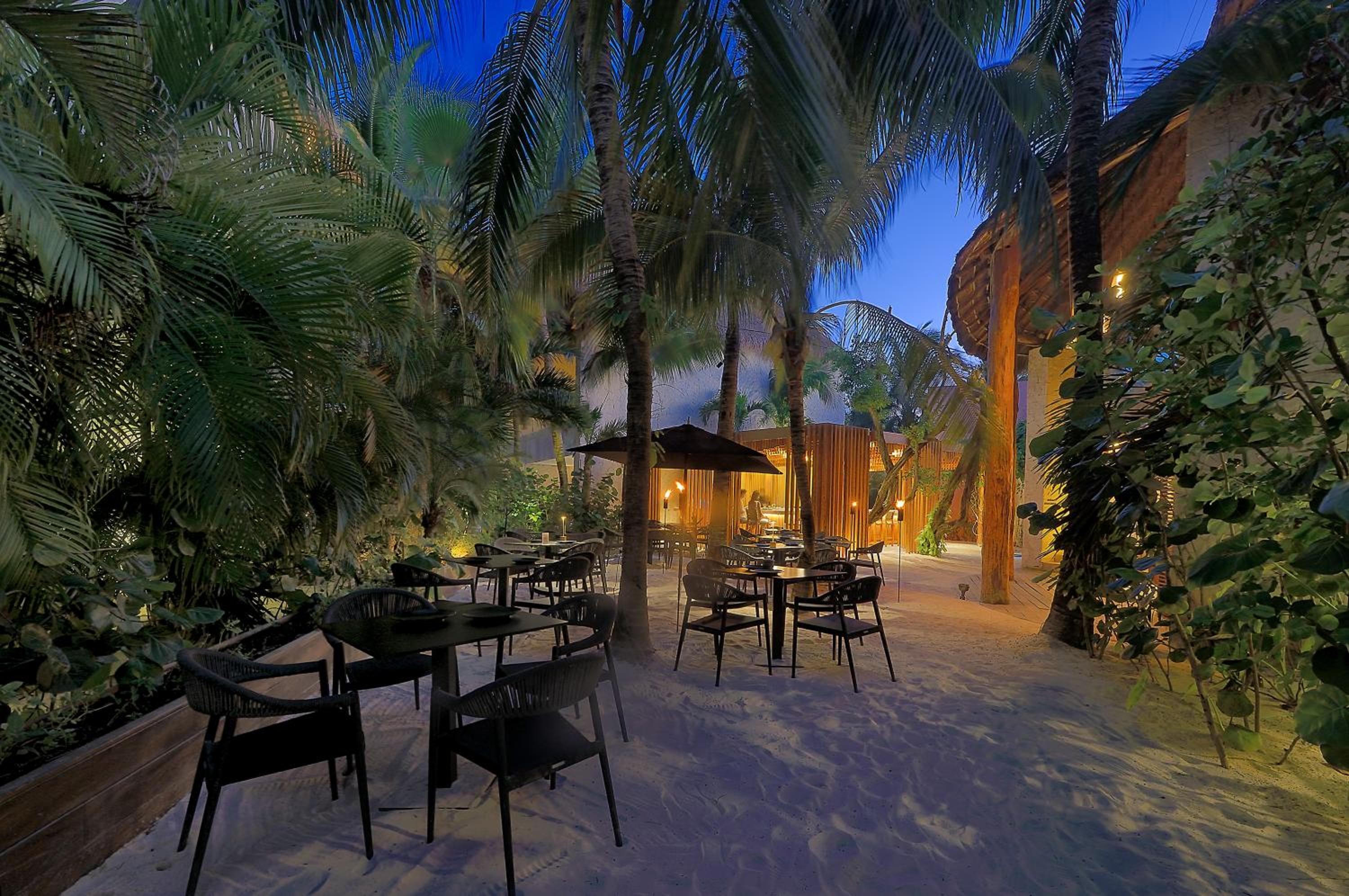 Tago Tulum by G Hotels - Property Image 106