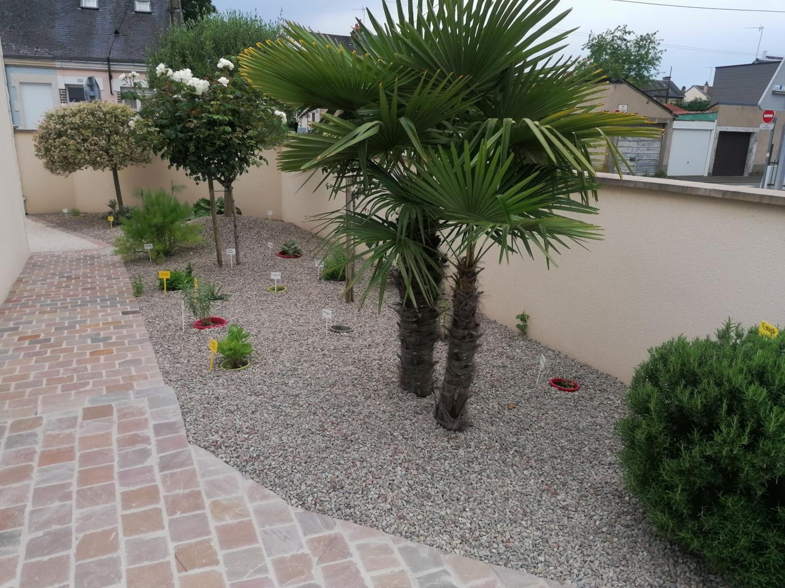 Photo 13