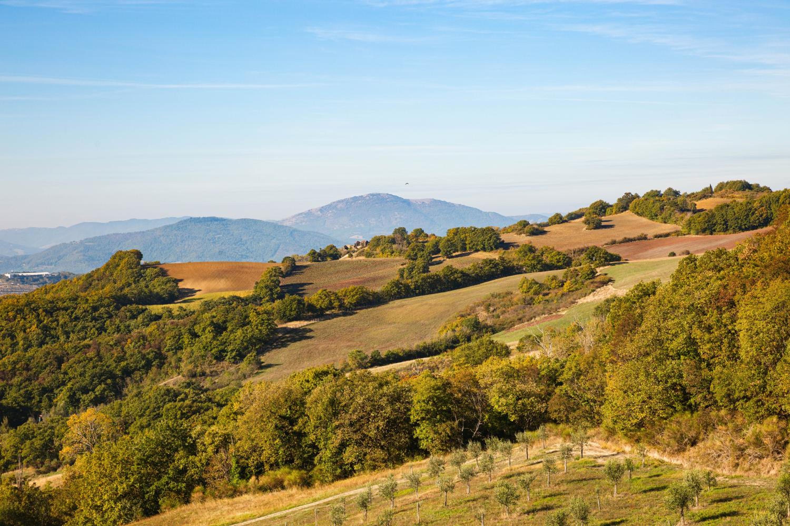 Tenuta Borgo Santa Cecilia