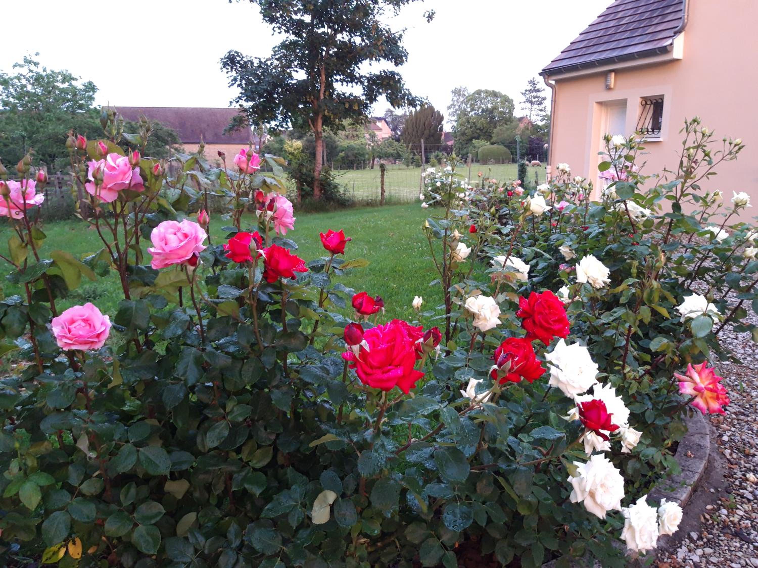 Photo 29
