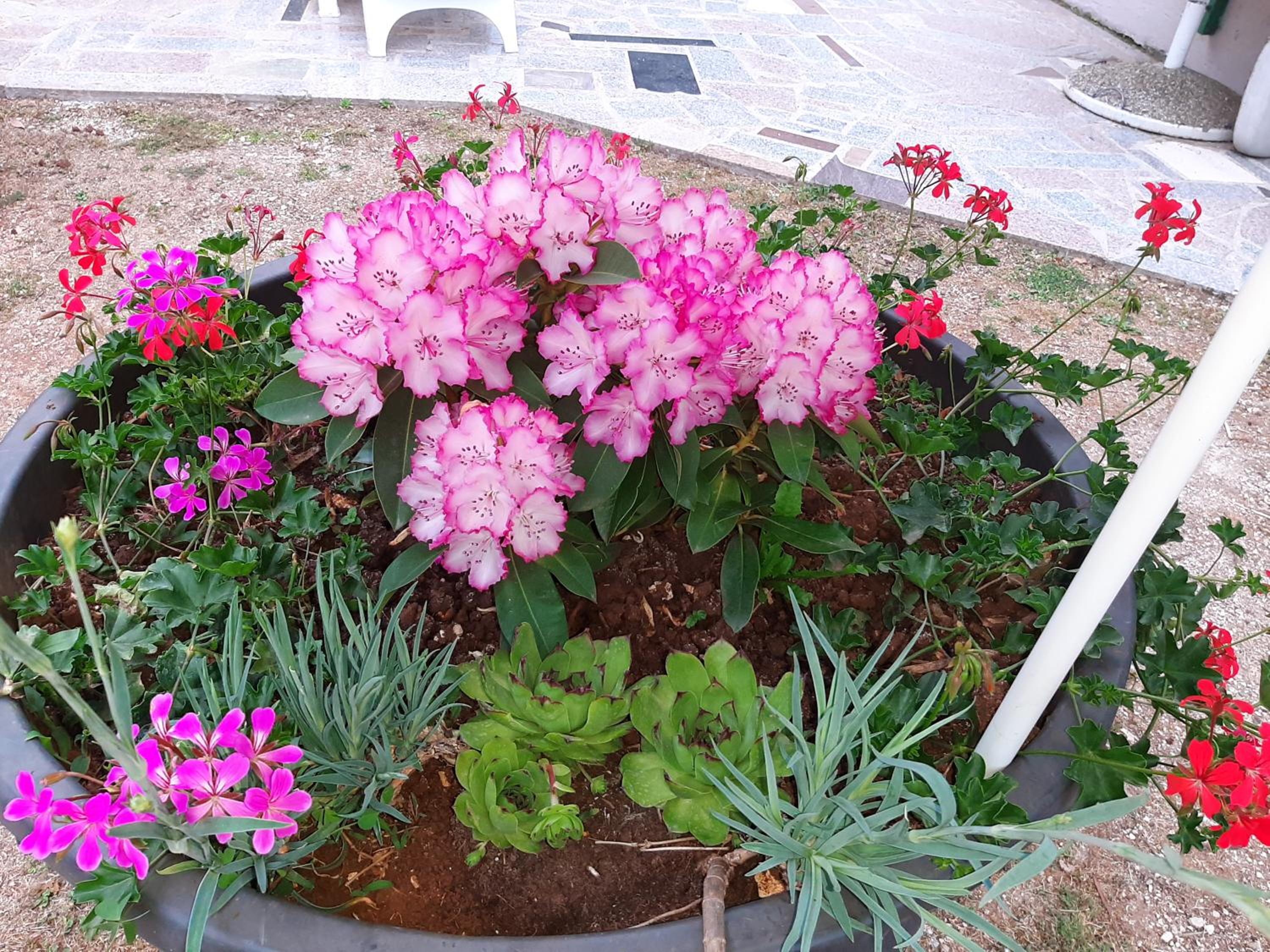 Photo 61