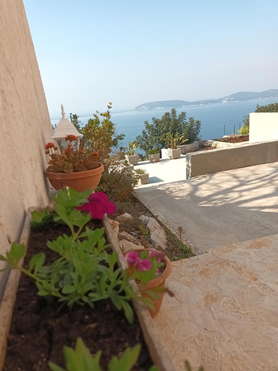 Apartmani NIKA