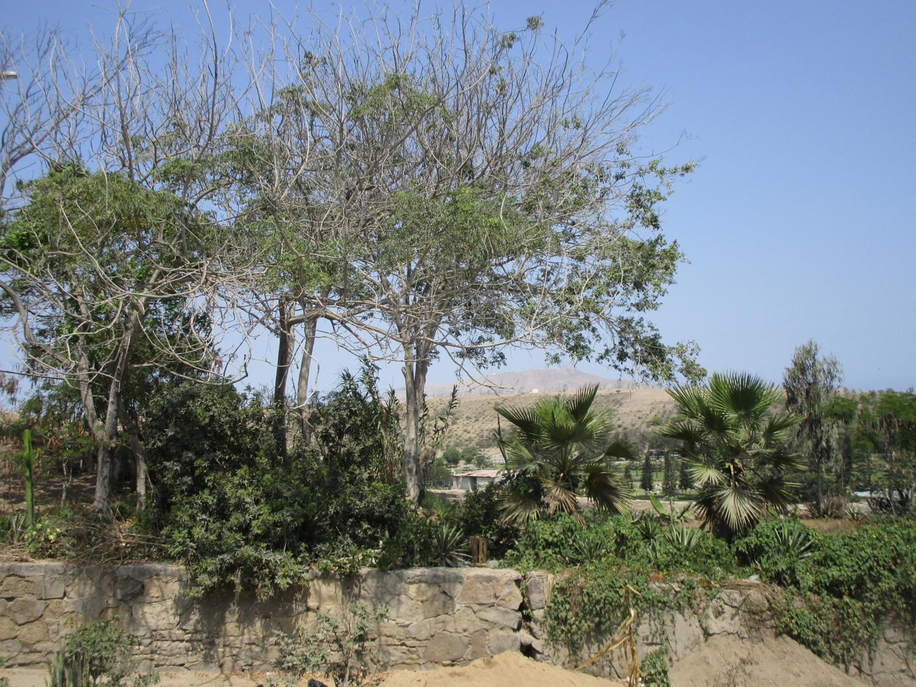 Photo 24