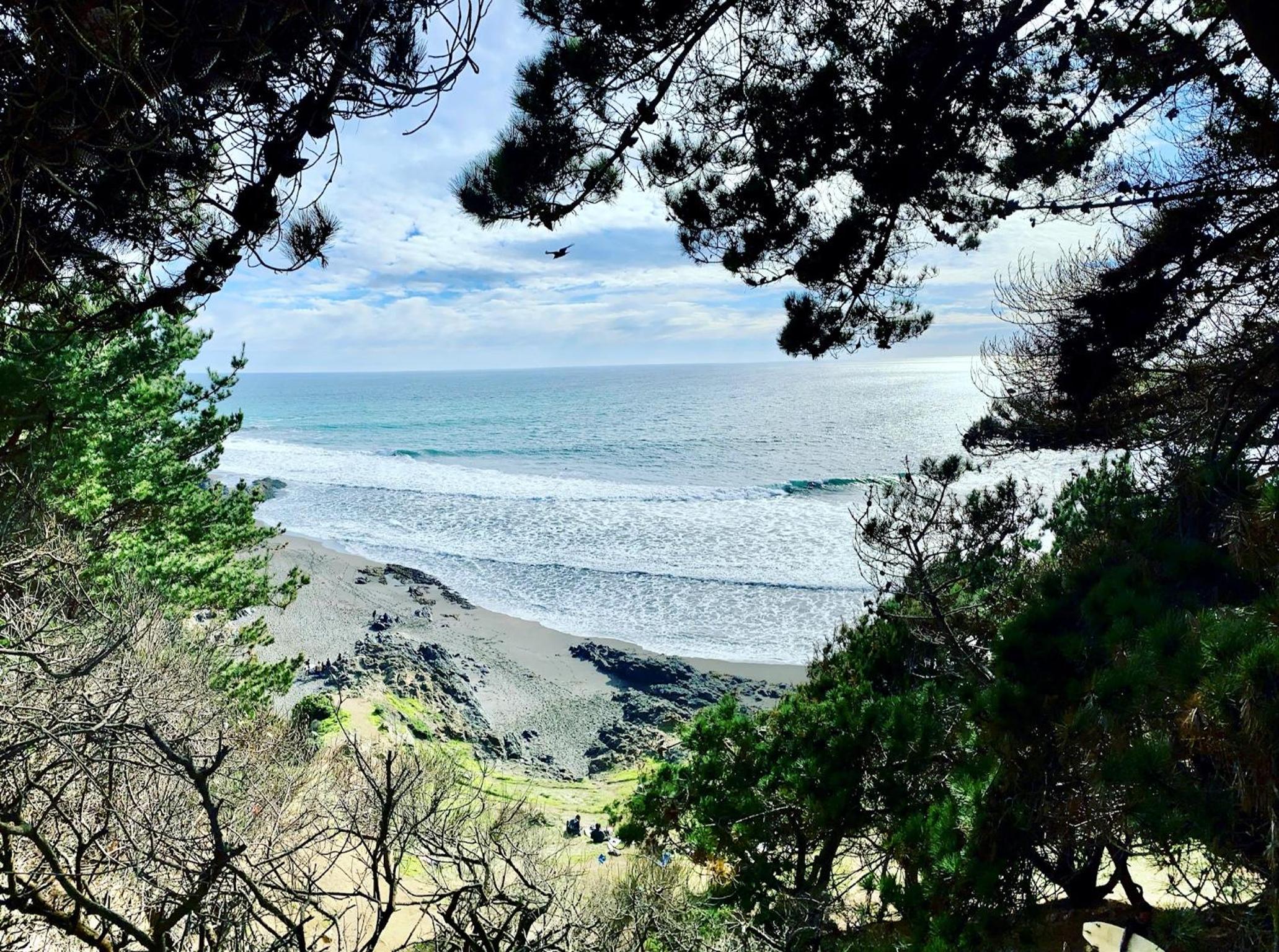 Olas de Buchupureo: con vida de campo