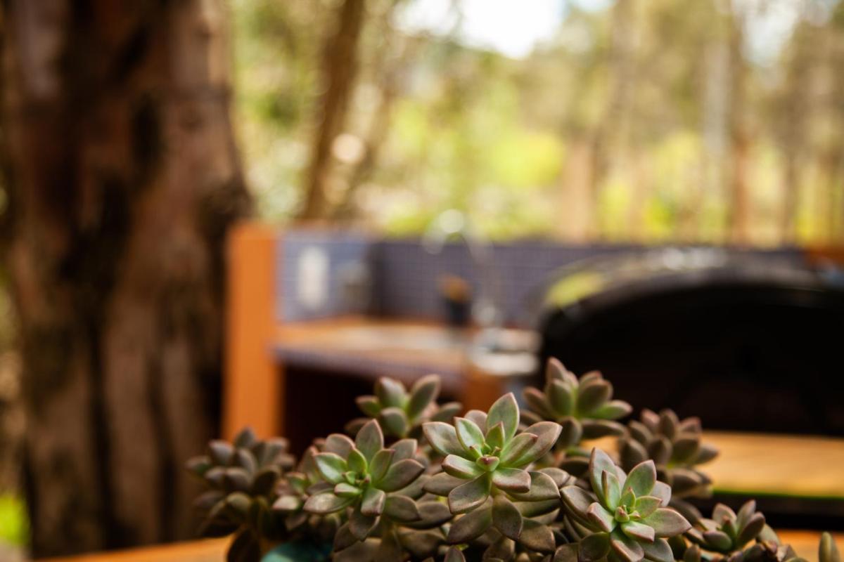Clavellino House Campestre-Villa de Leyva-WIFI