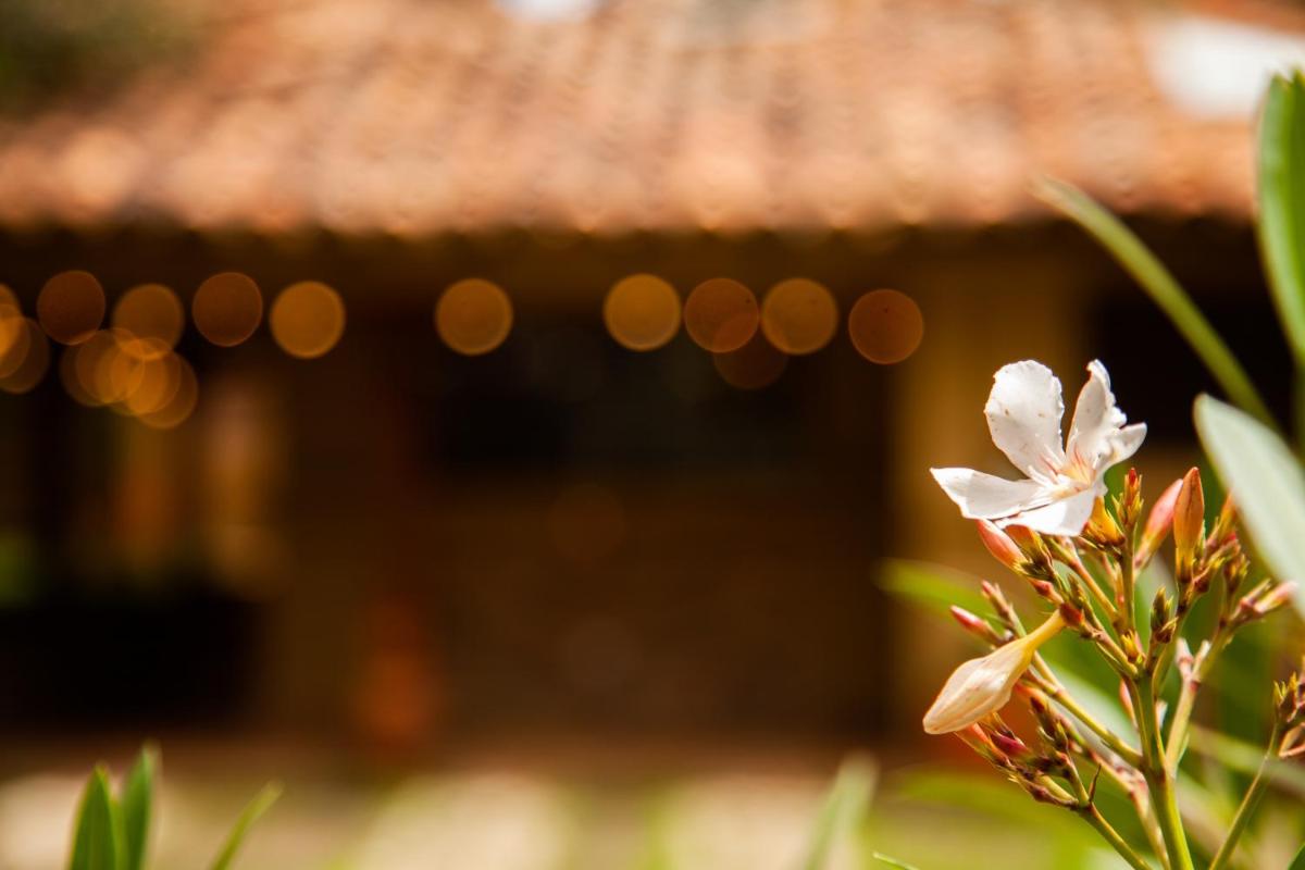 Clavellino House Campestre-Villa de Leyva-WIFI