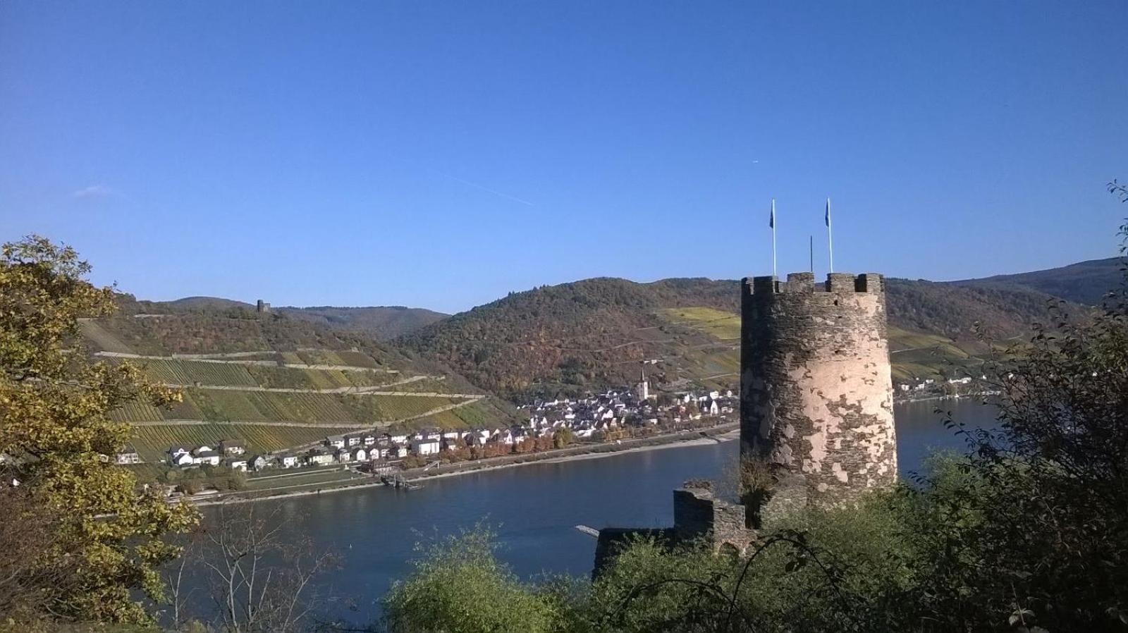 Rainer´s Rheinblick