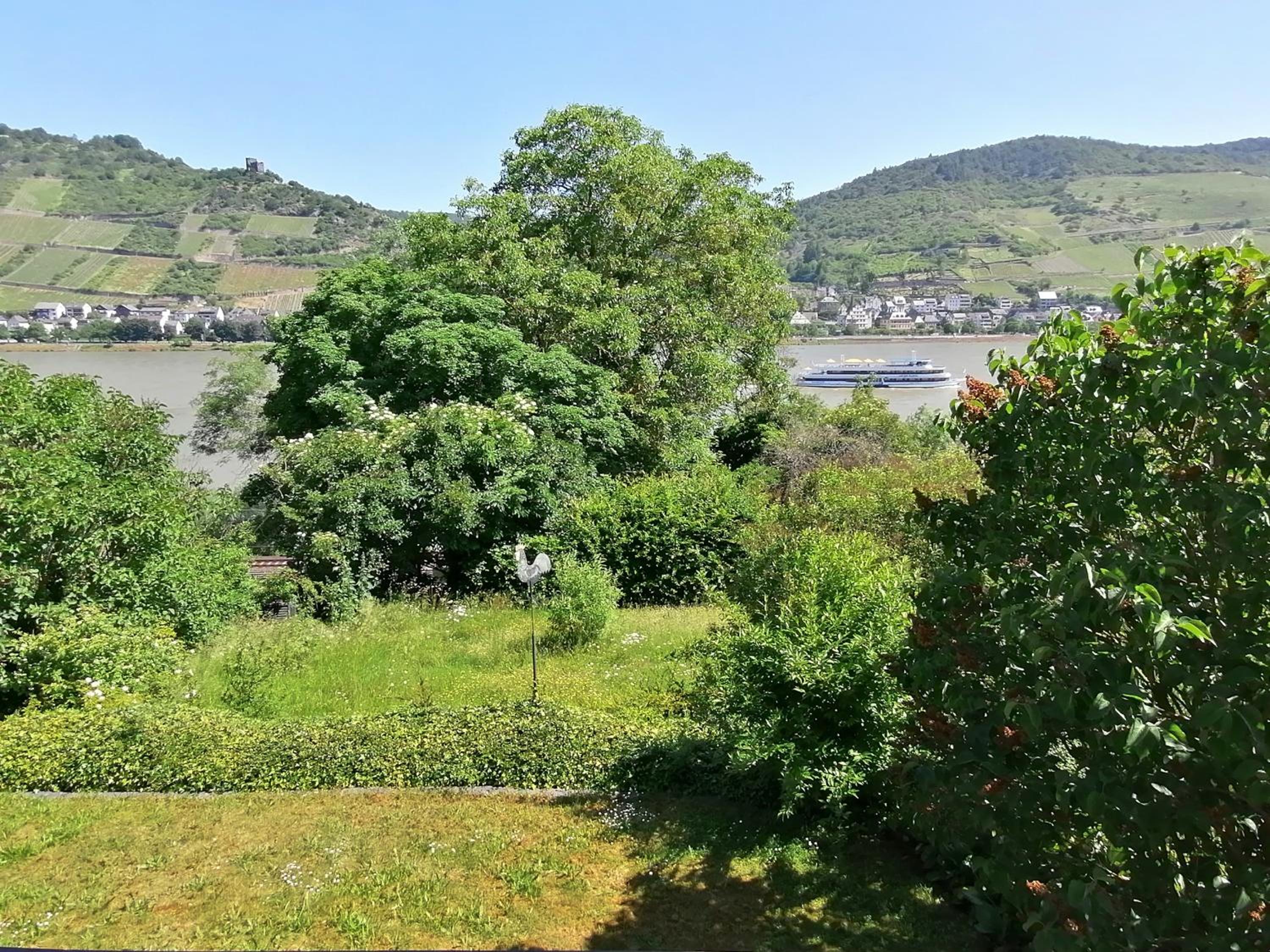 Rainer´s Rheinblick