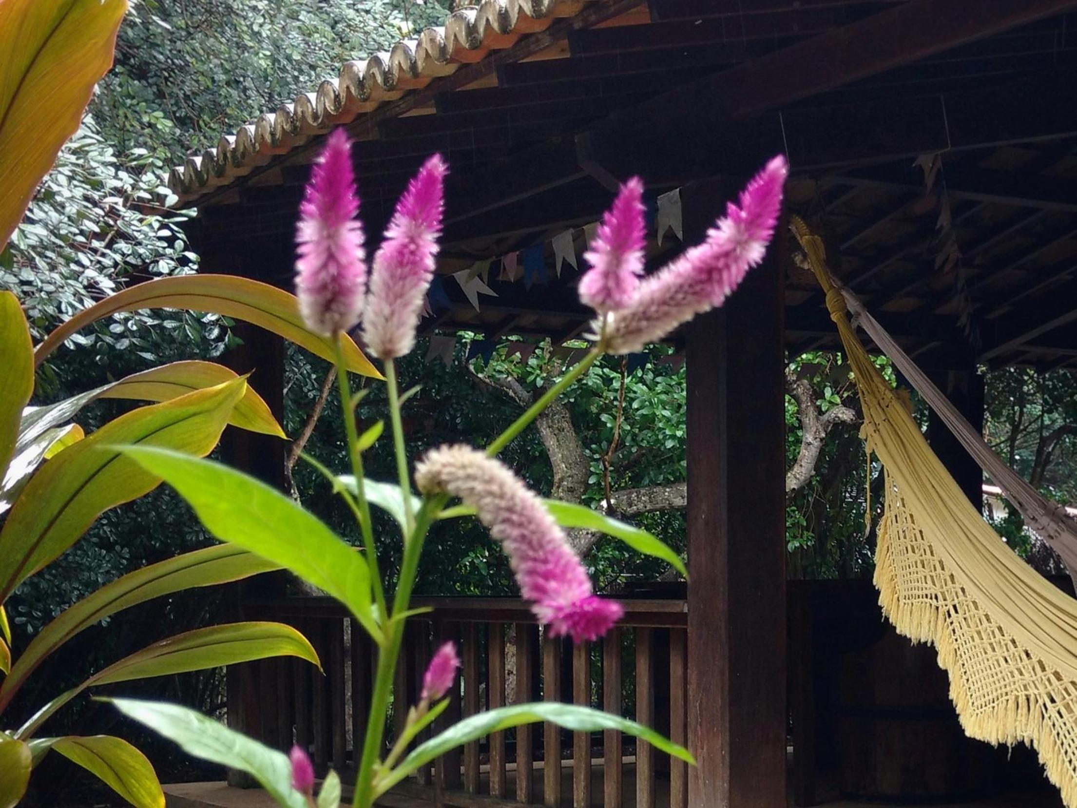 Casa Cajueiro em Pipa