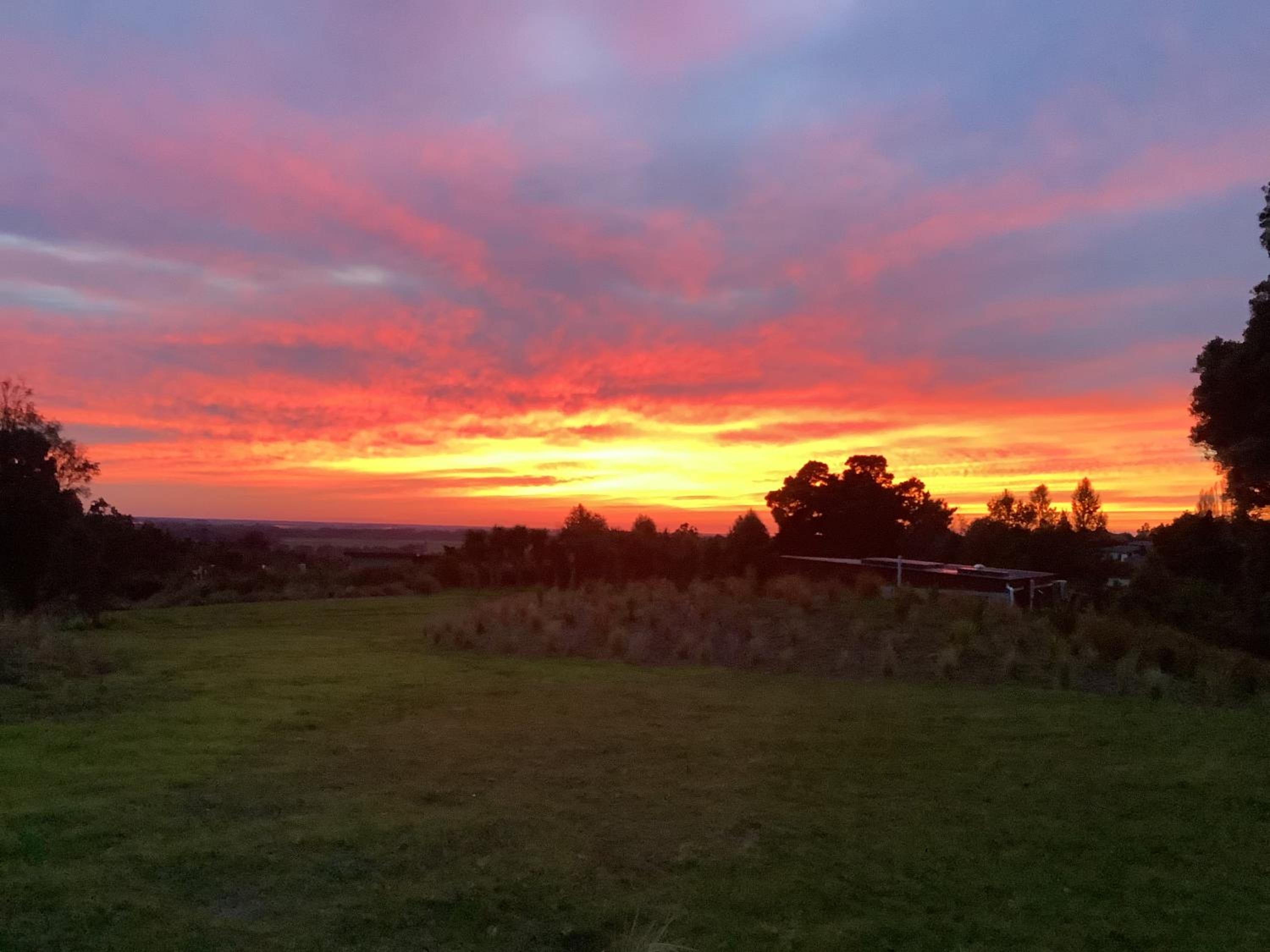 Ngā Whare Mānatu view 2