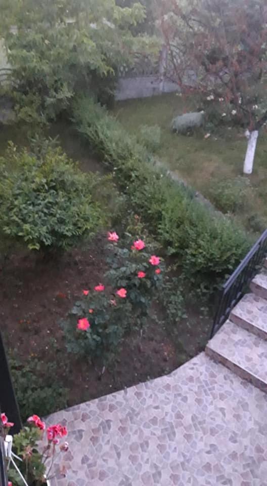 Photo 32