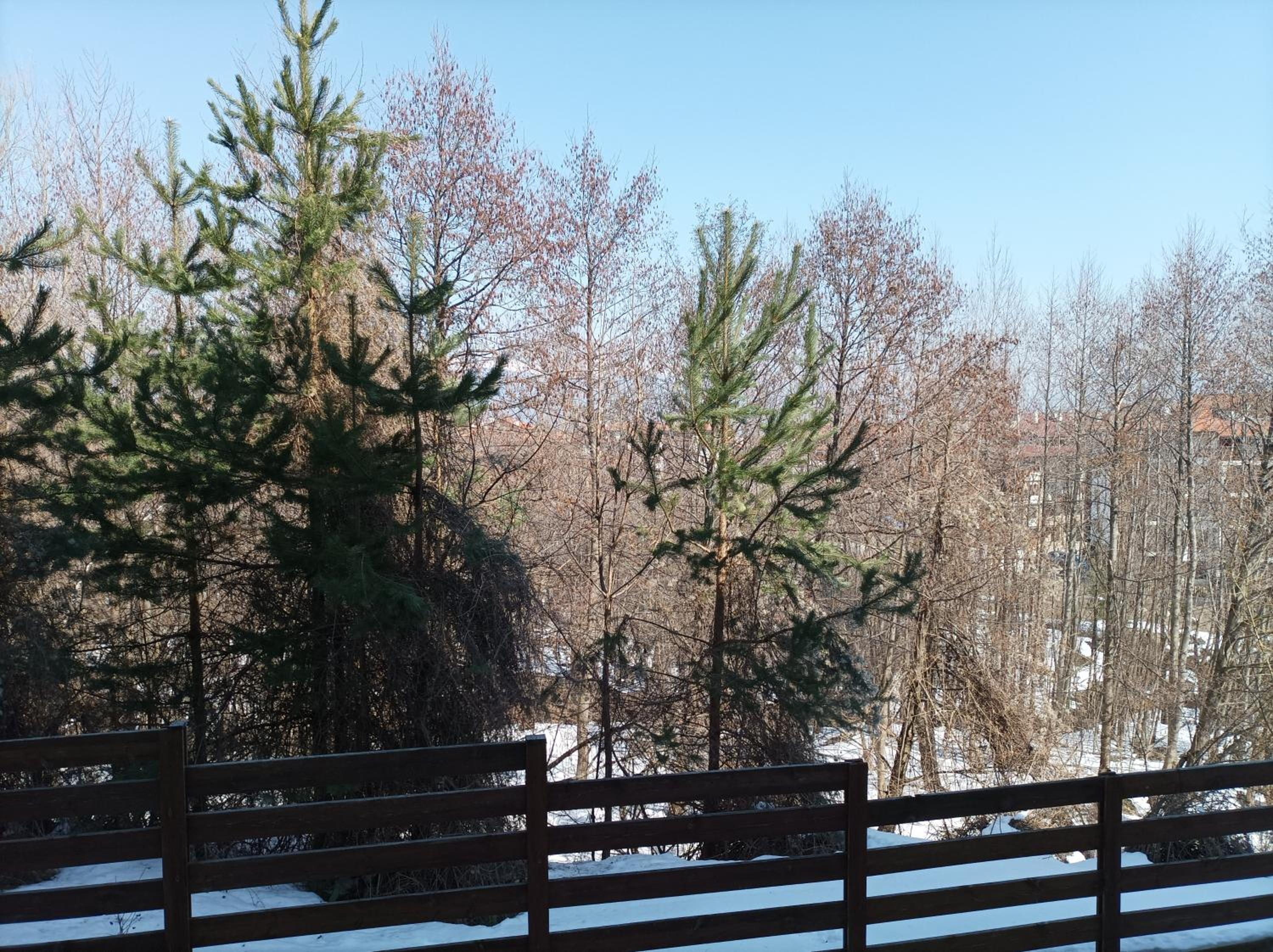 Bansko Vacations - Apartment Detelina Residence - Property Image 3