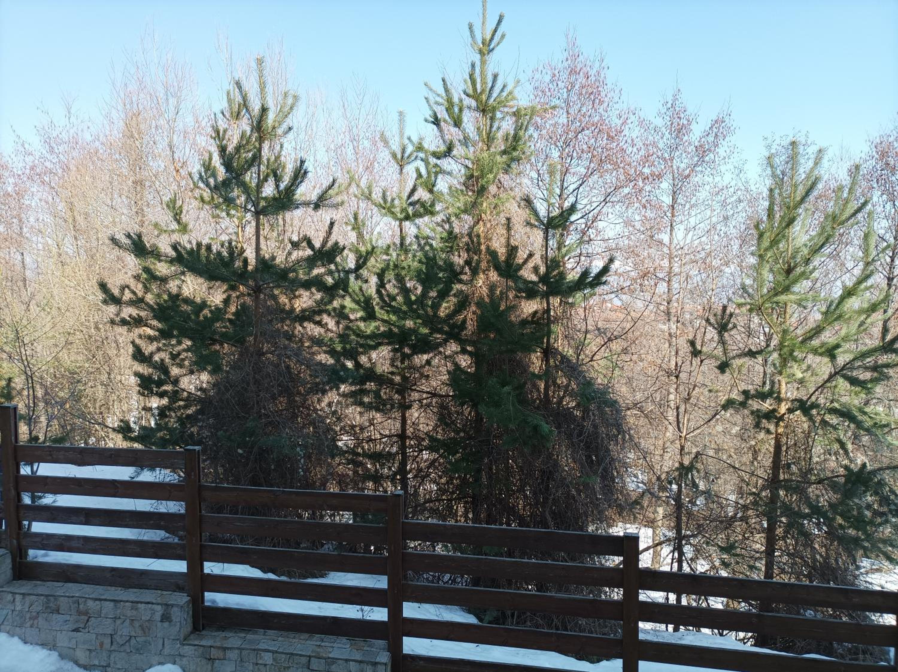 Bansko Vacations - Apartment Detelina Residence - Property Image 2