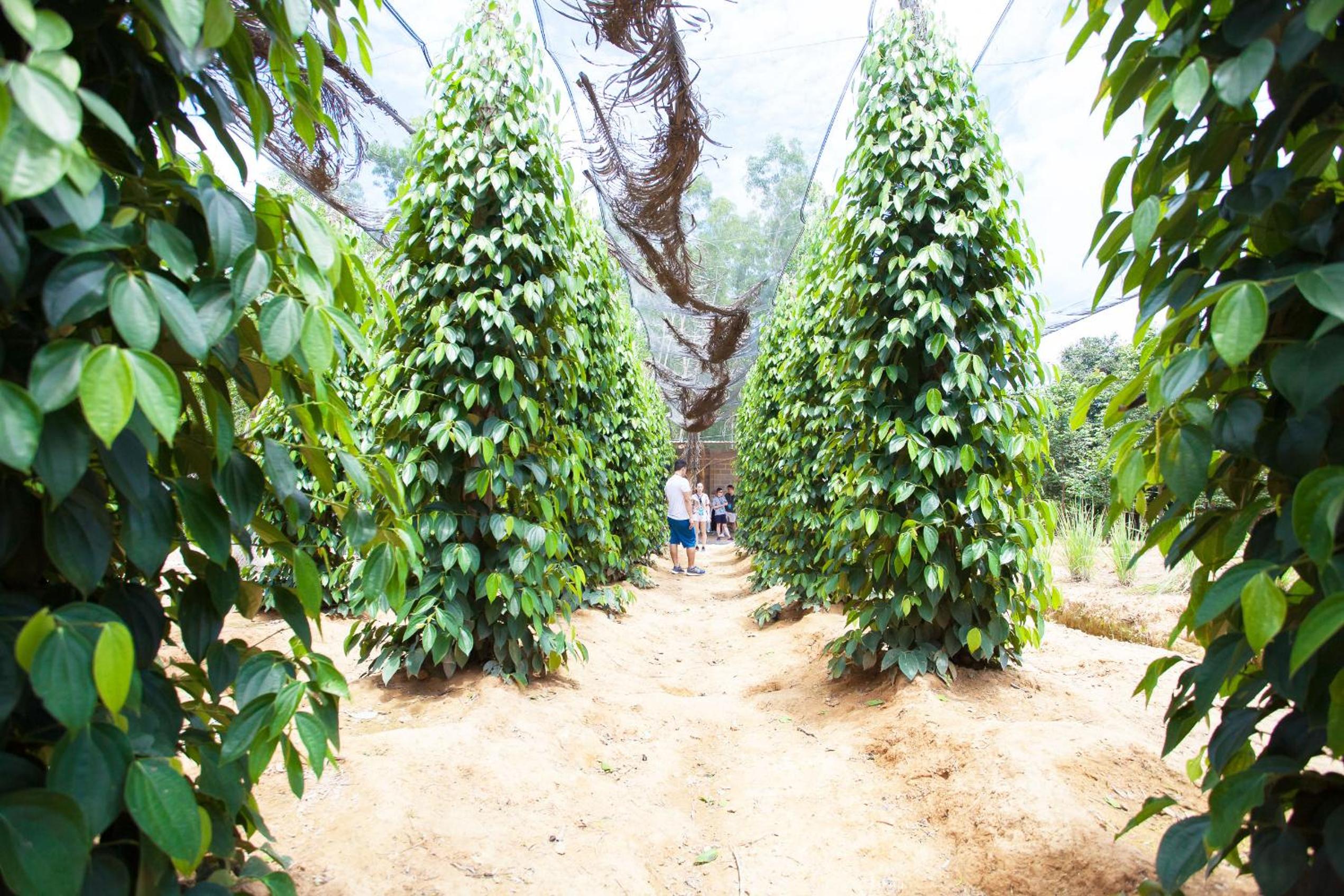 The Garden House Phu Quoc Resort