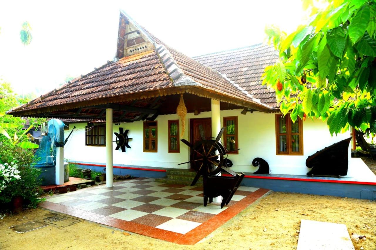 Photo 13