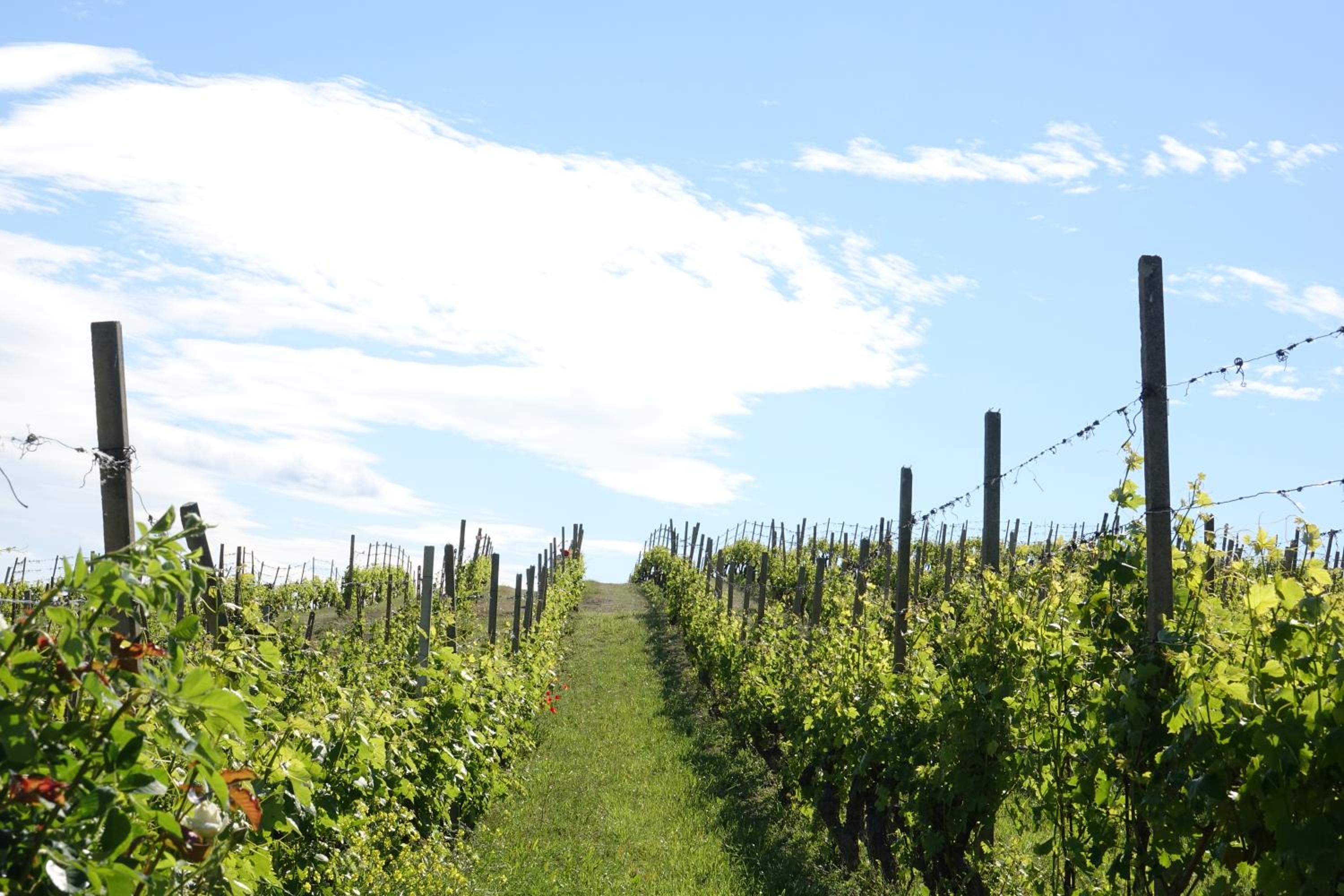 NaturalMente Wine Resort