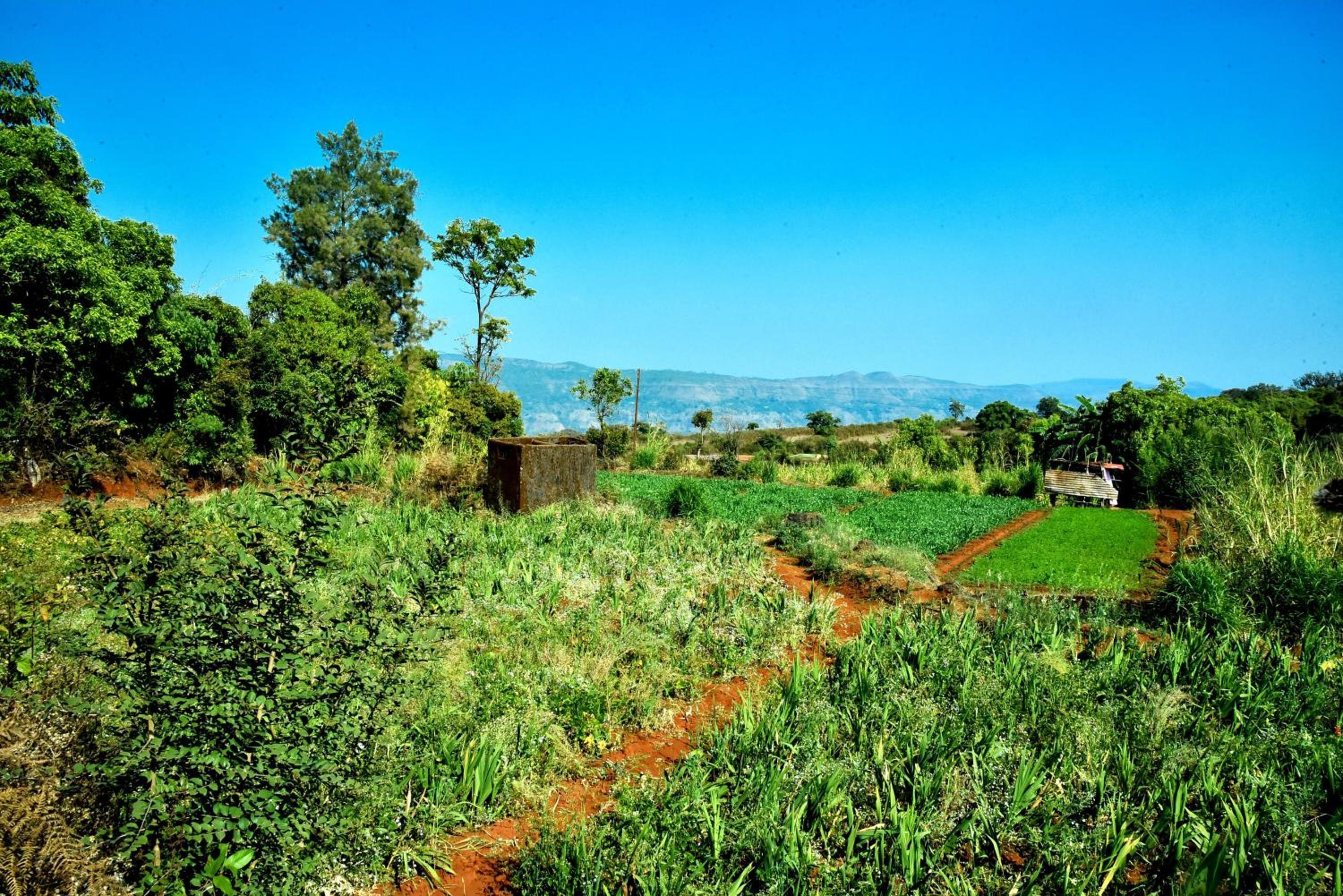 MERIDIAN VILLA - Besides Valley View with Swimming pool & Strawberry Farms view 2