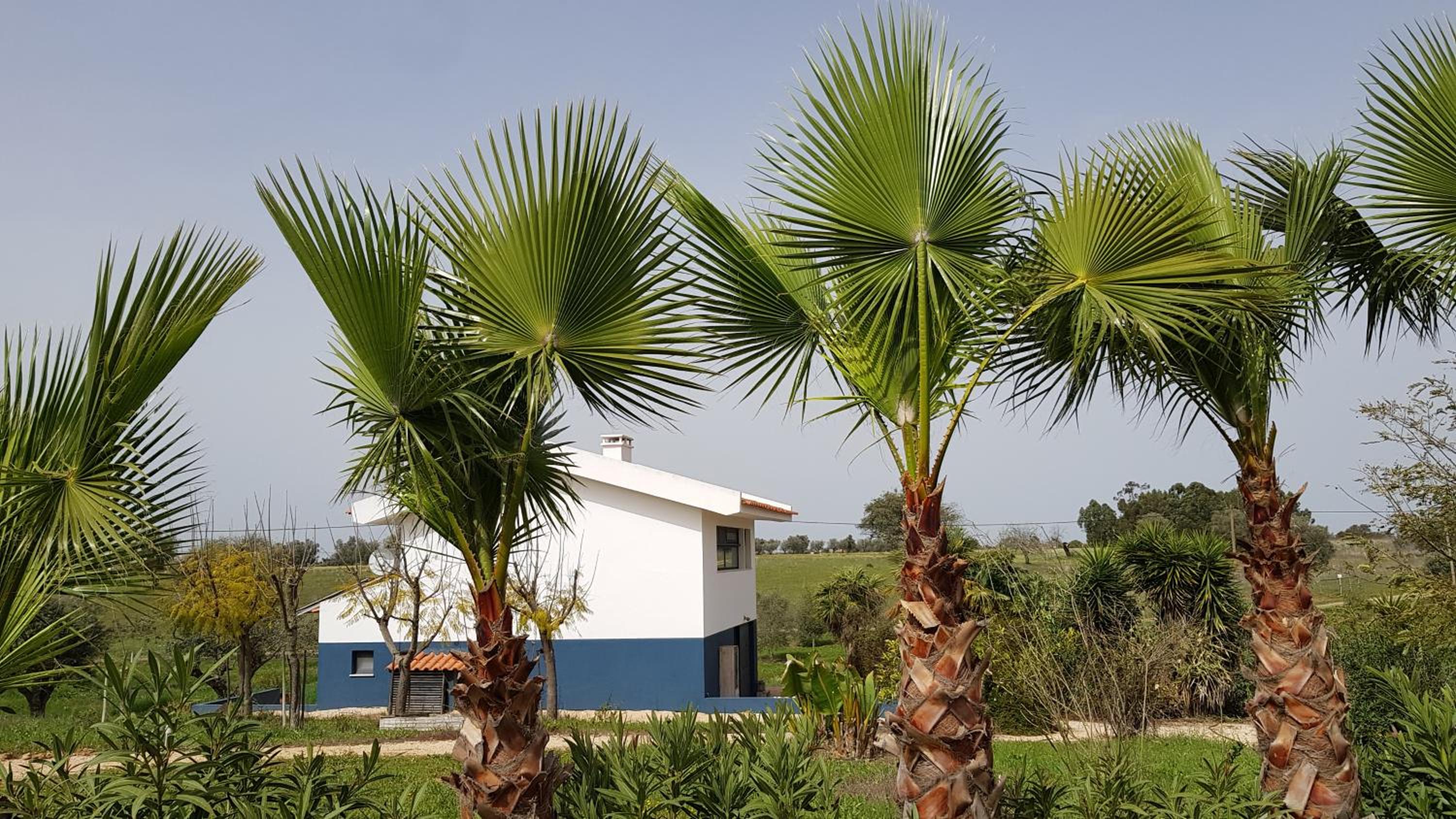 Trendy casa de Ferias view 4