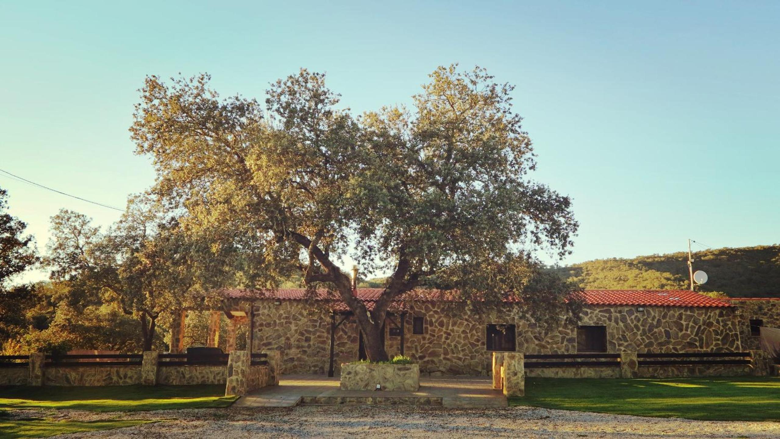 Casa Rural con skatepark y piscina " La Quijada del Lobo " view 5