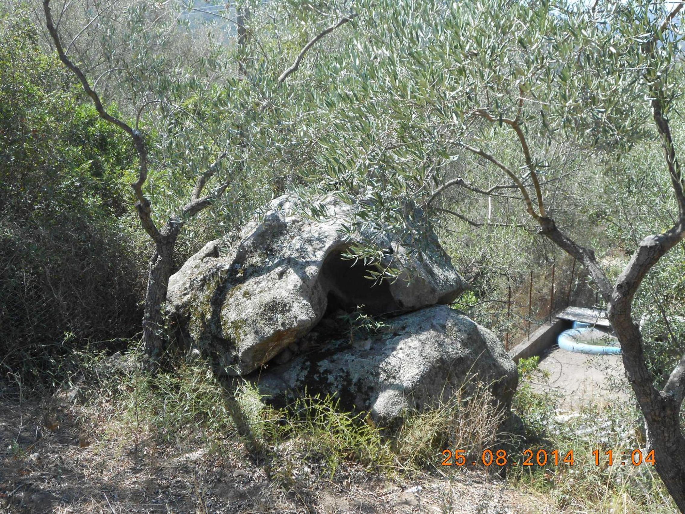Photo 63