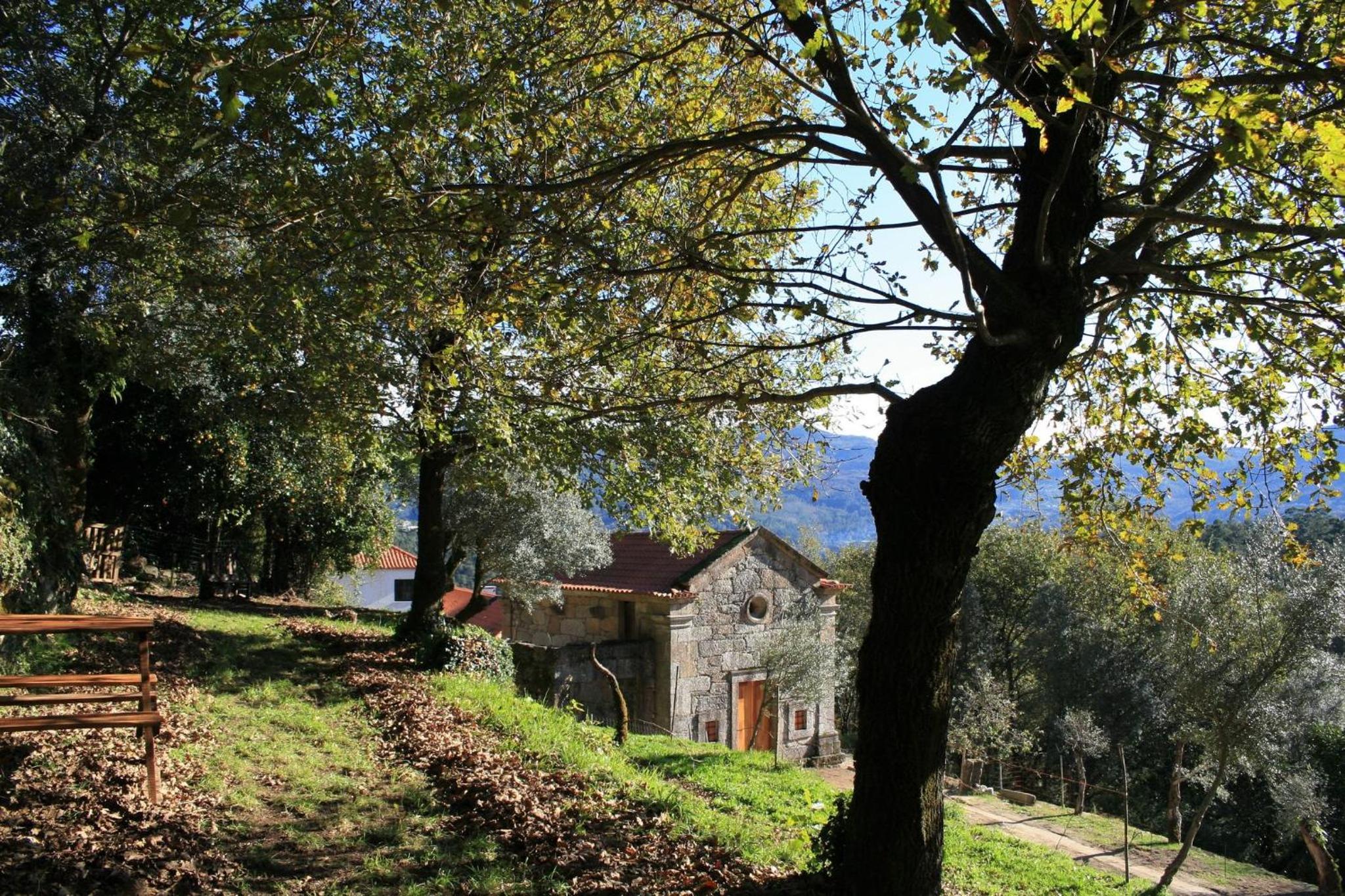 Photo 26