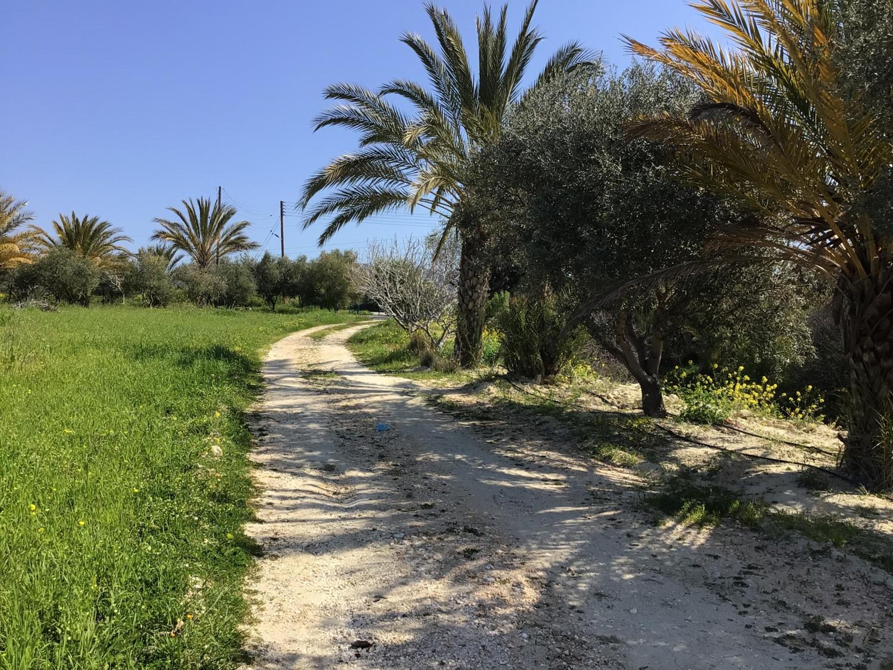 Pervolaris Cottages 1