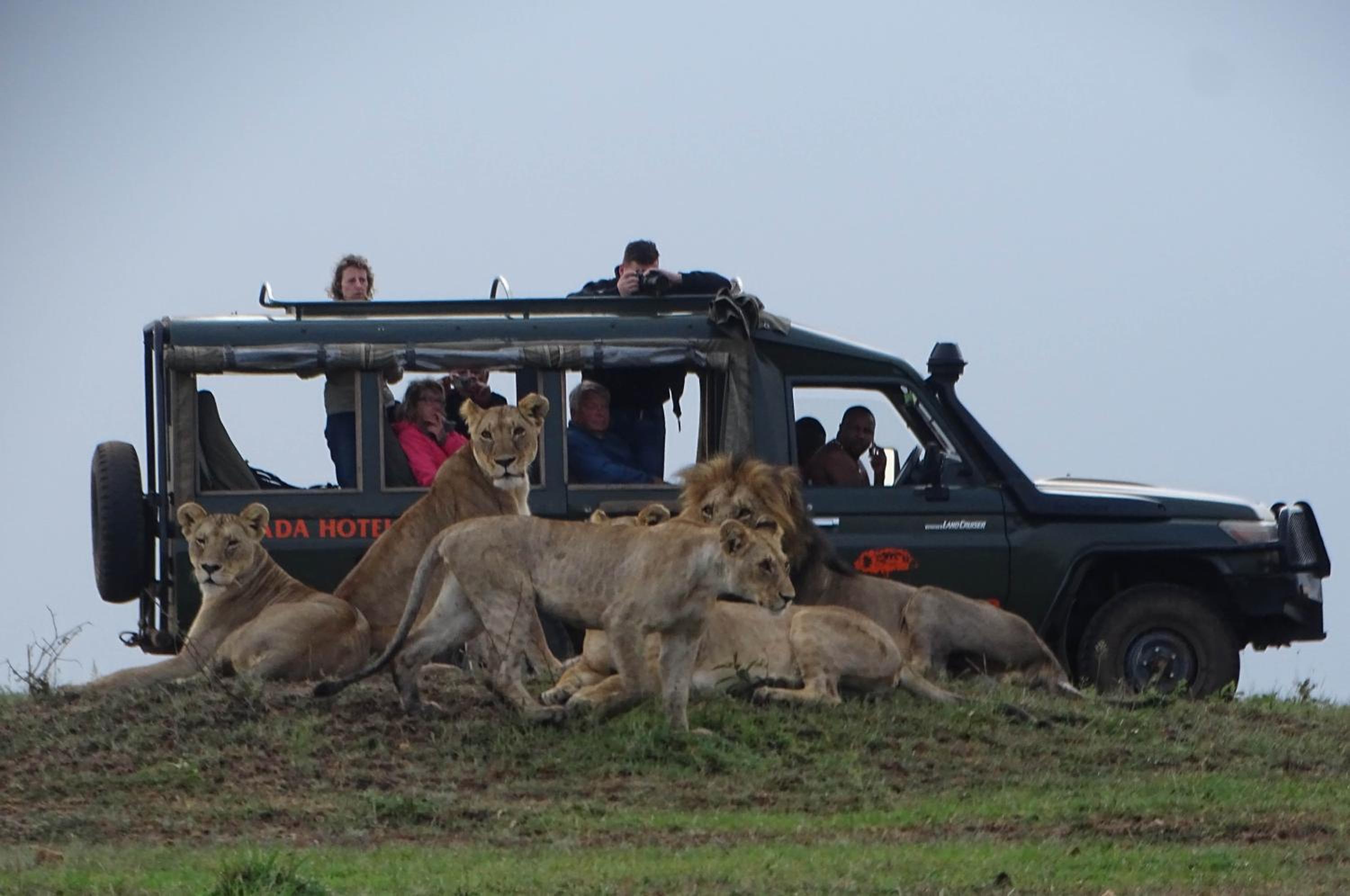 Fig Tree Camp - Maasai Mara view 4
