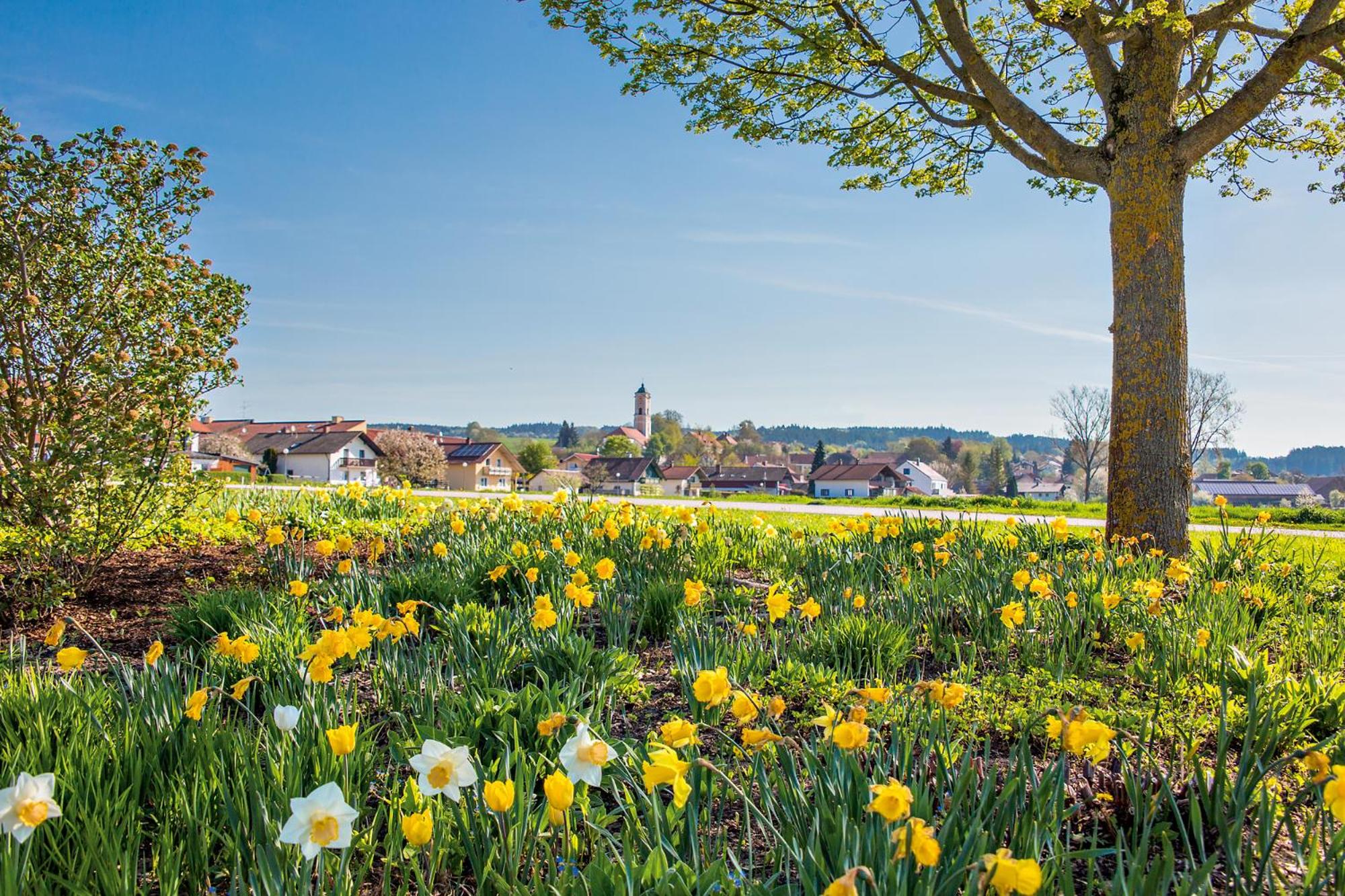 Bad Birnbach Vacations - Best Western Aparthotel Birnbachhohe - Property Image 10