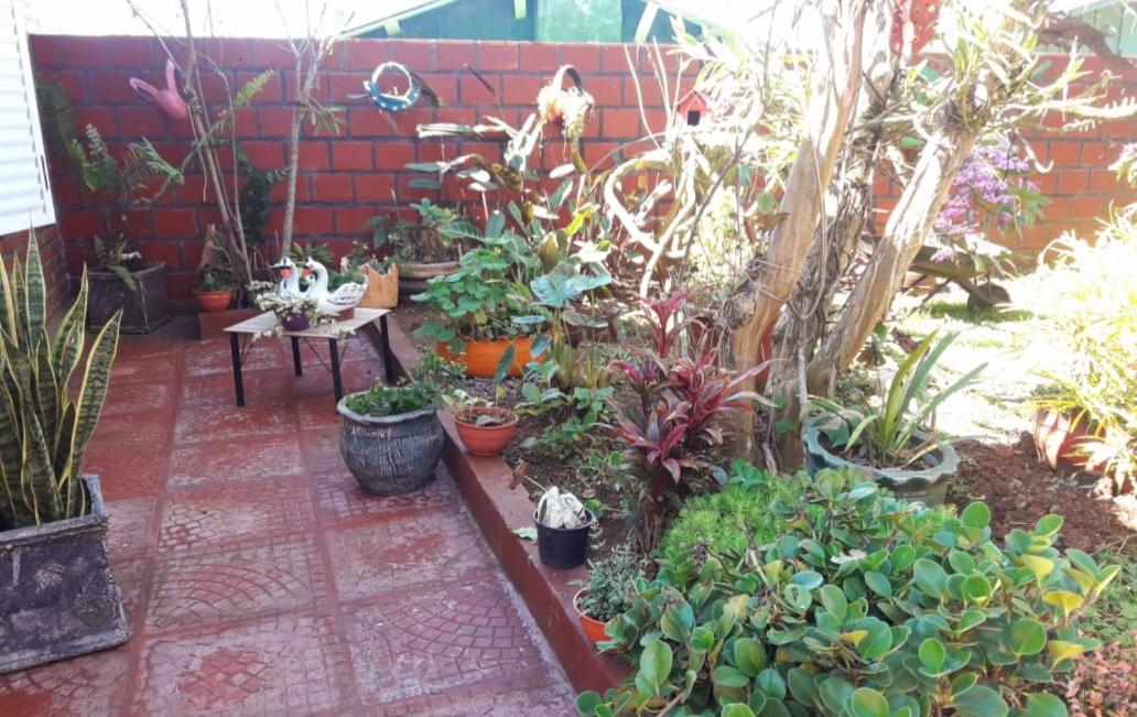 Jorge casa de las Orquídeas