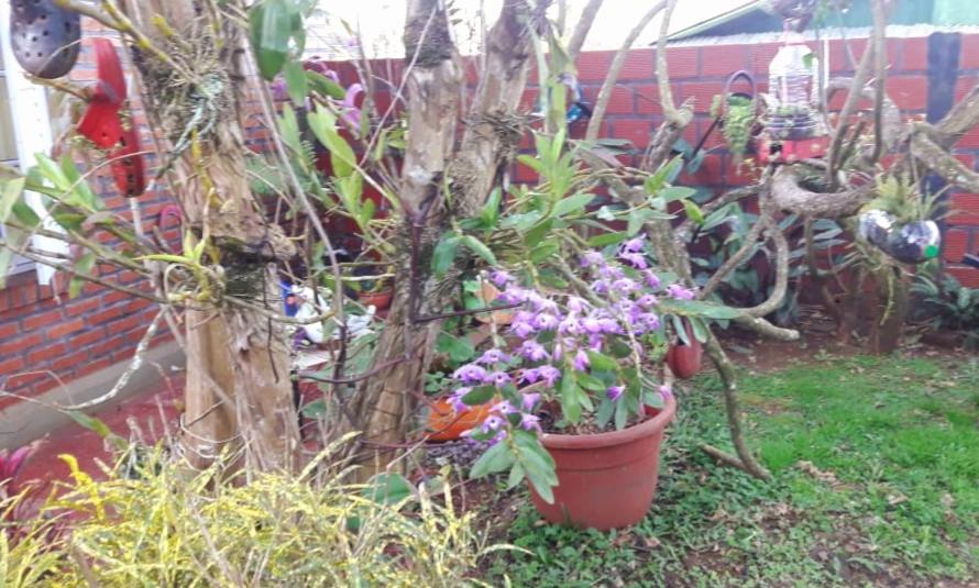 Jorge casa de las Orquídeas
