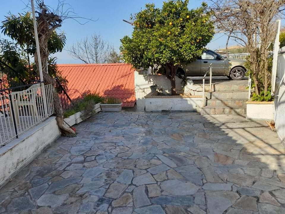 Vacation House Dionysia photo 3