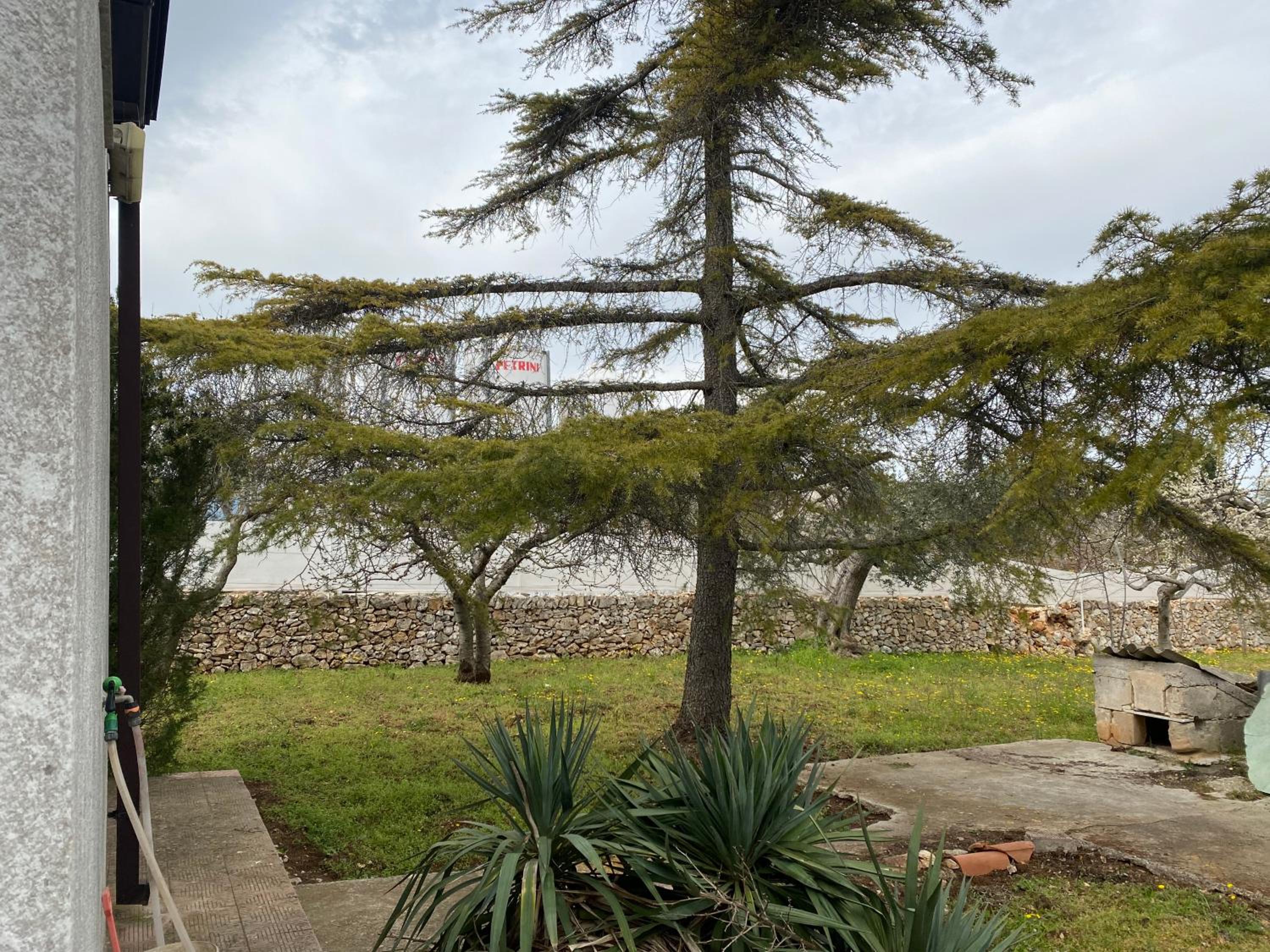 Villa Mima