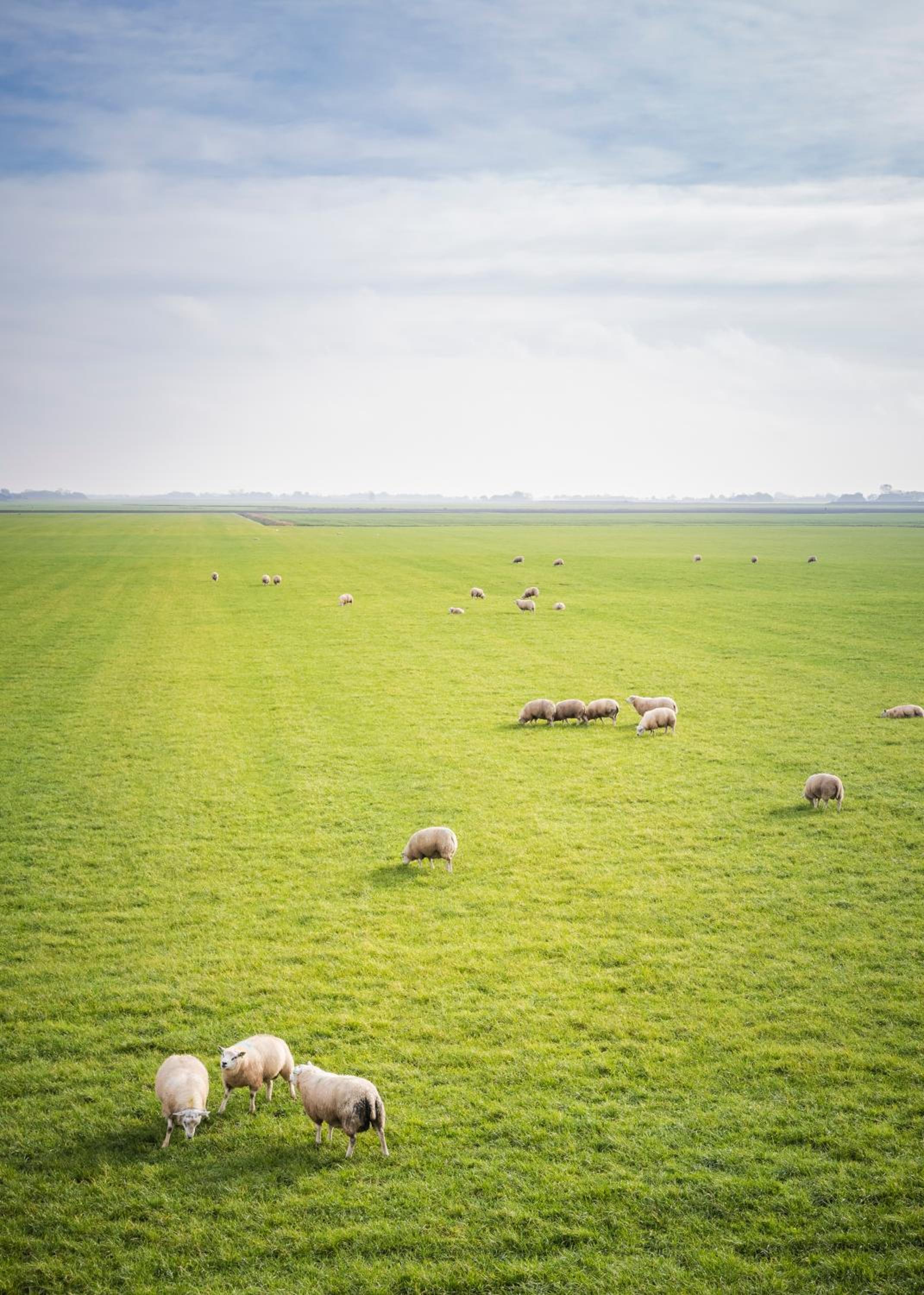 Ollediek view 5