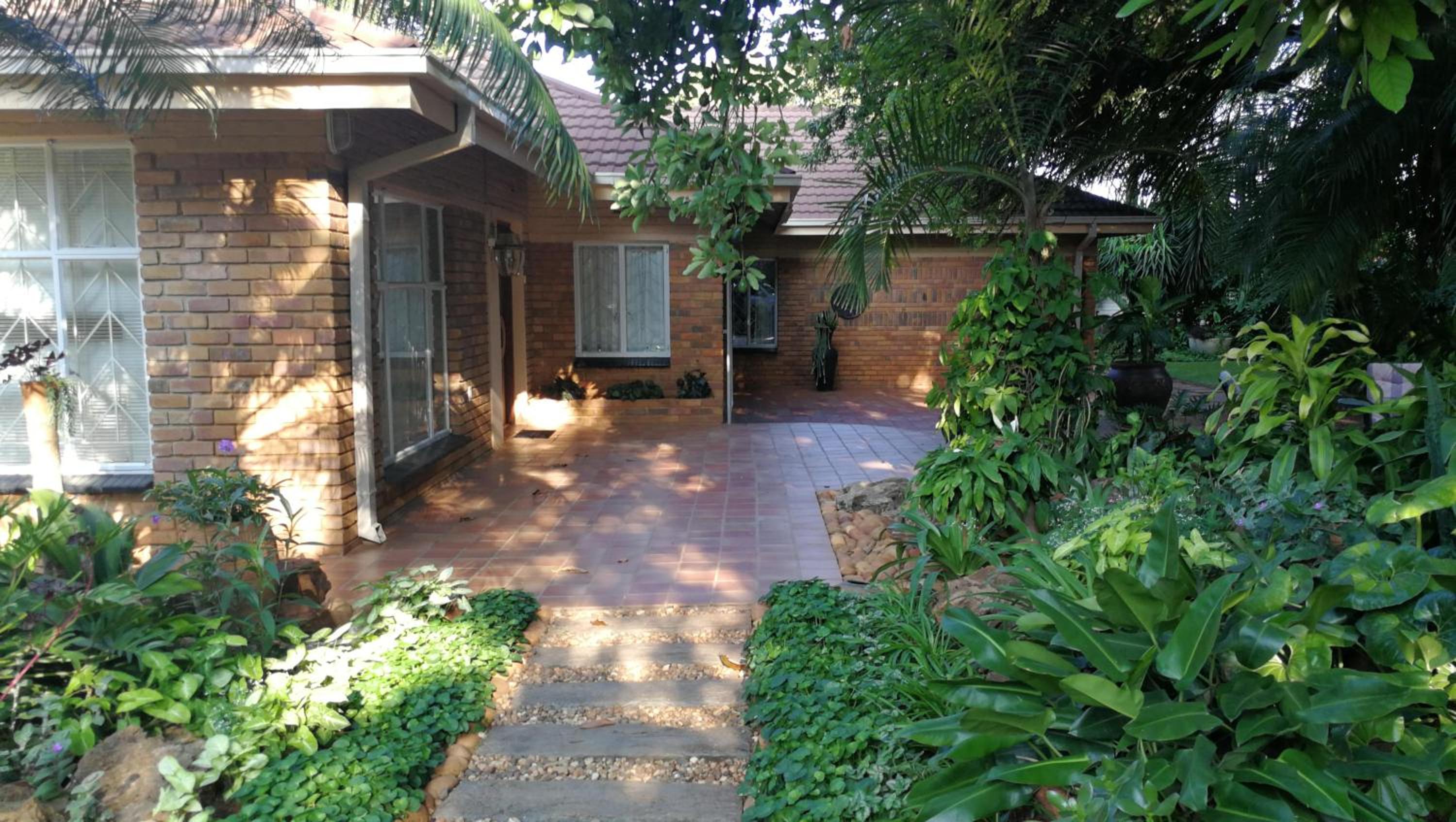 Tree Aloe Guest House view 4