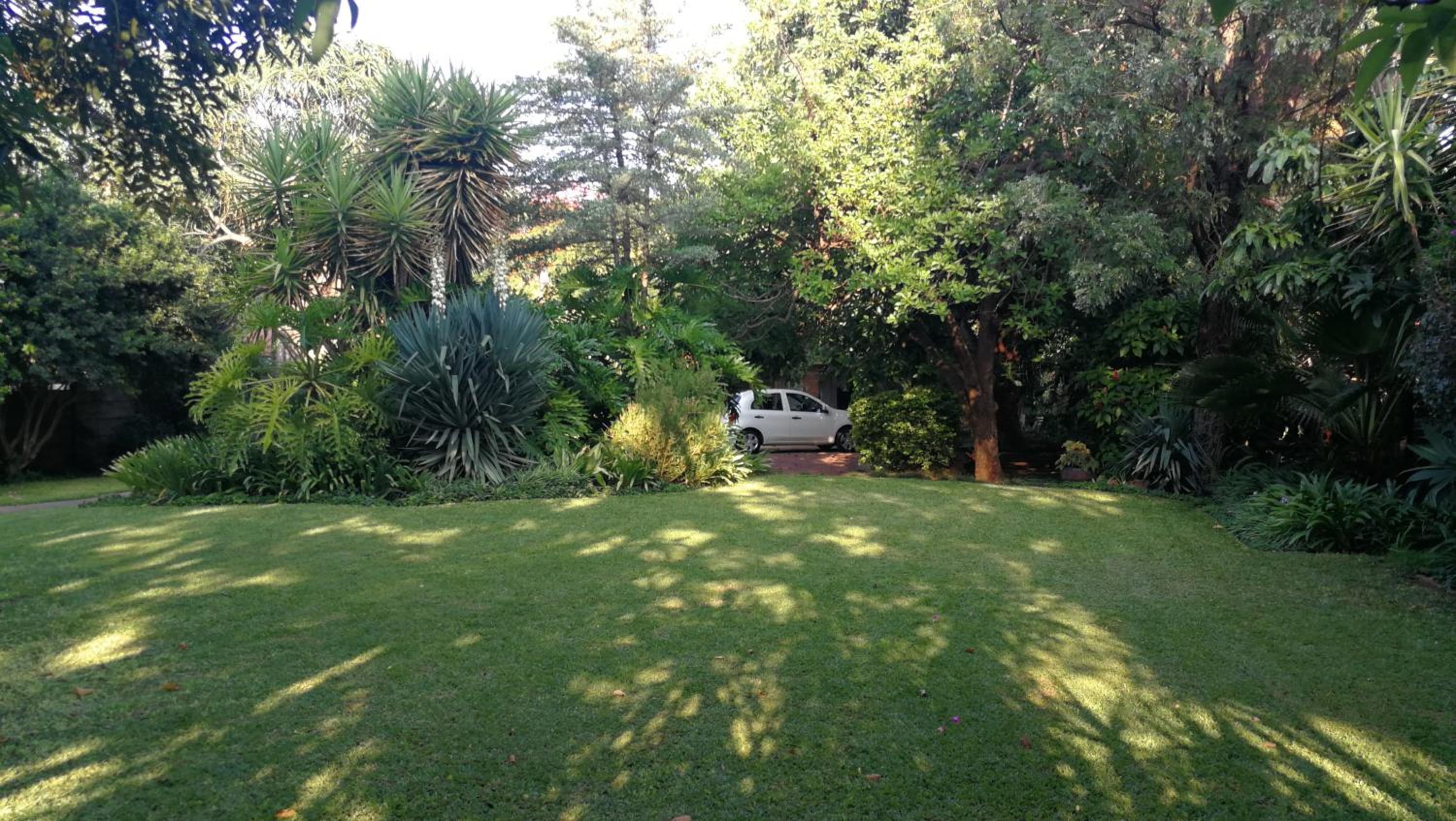 Tree Aloe Guest House view 5