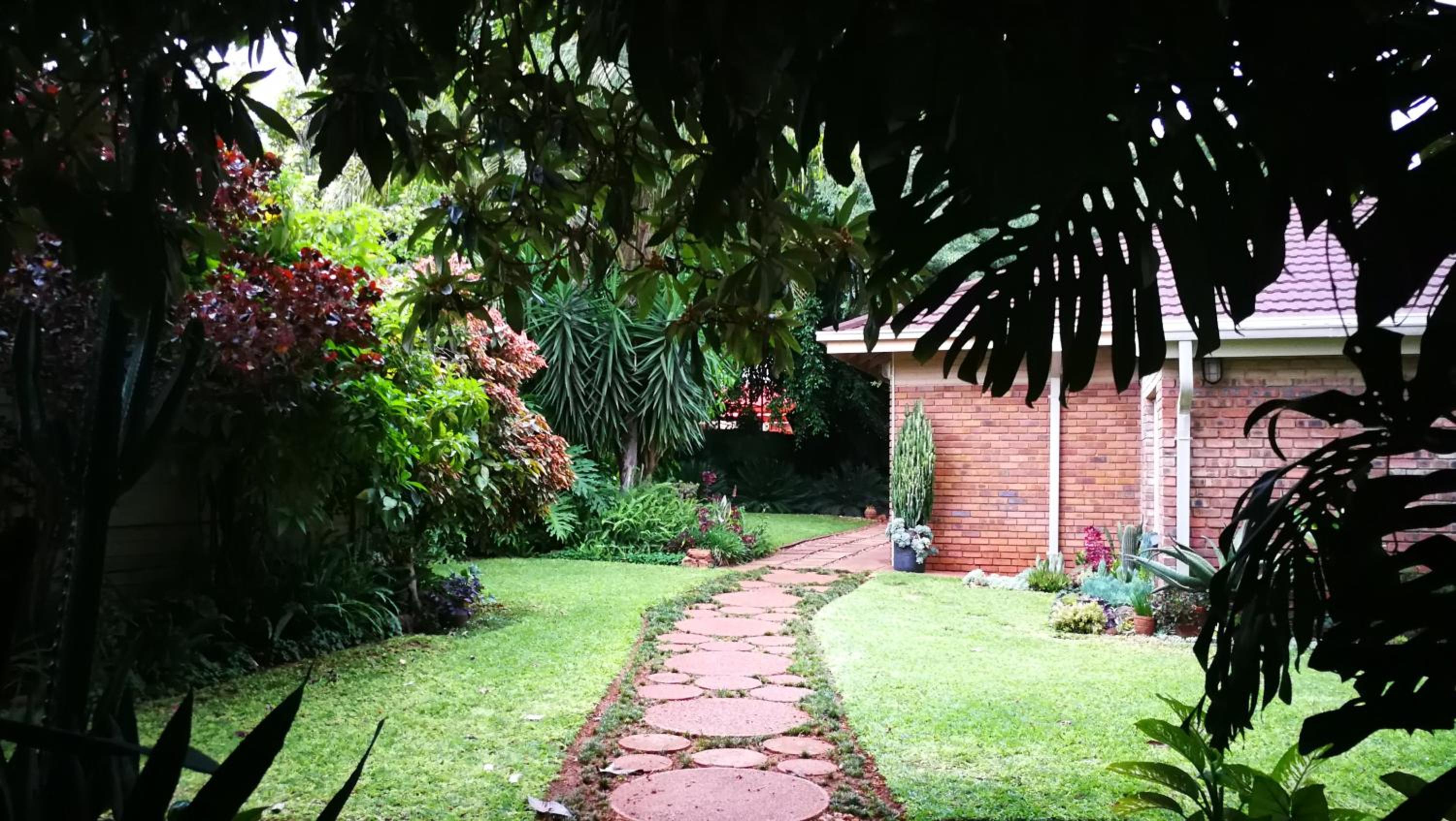 Tree Aloe Guest House view 3