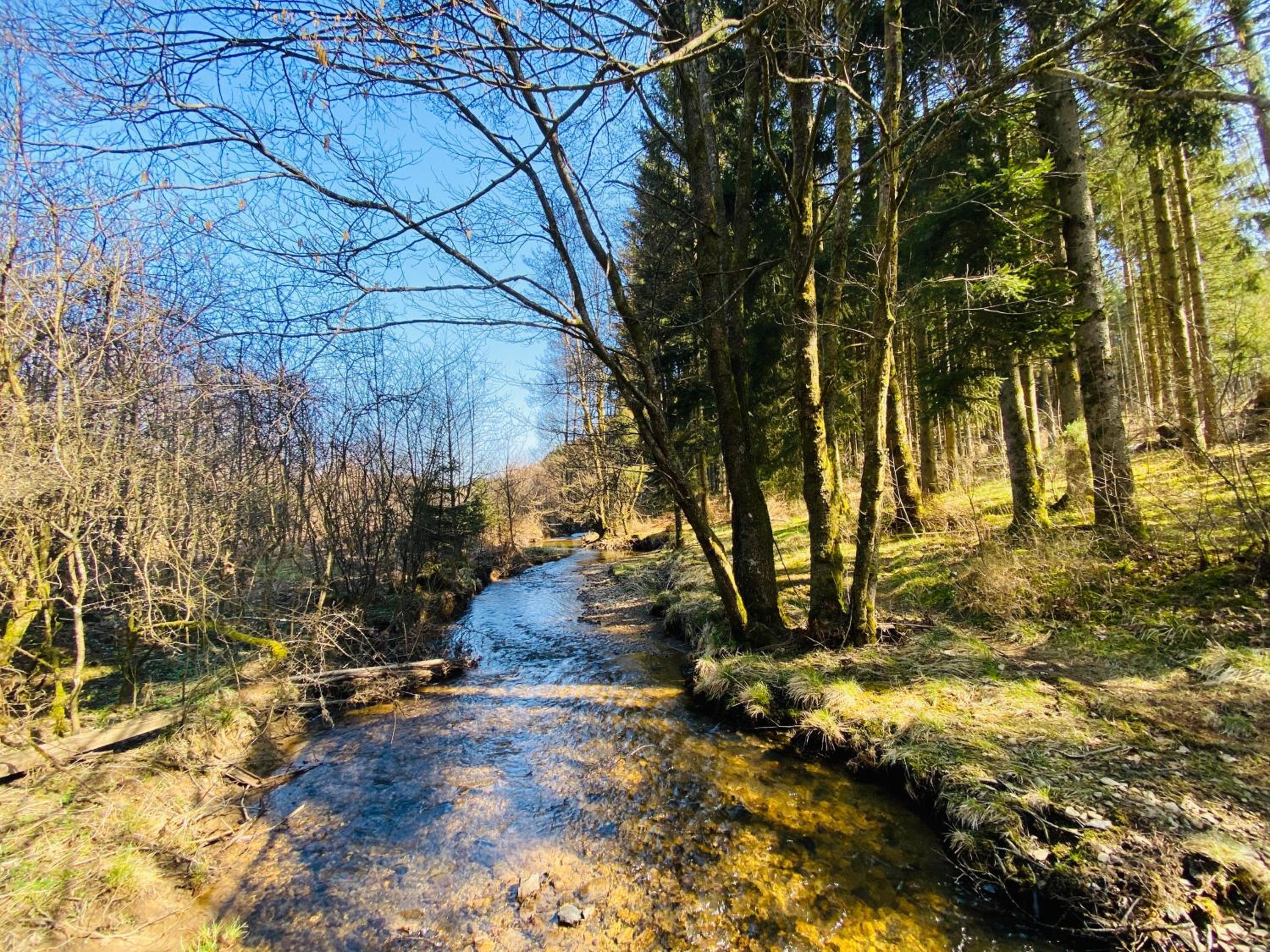 Le Héron - Gîte de charme clôturé, accès à la rivière - 6 ou 10 personnes