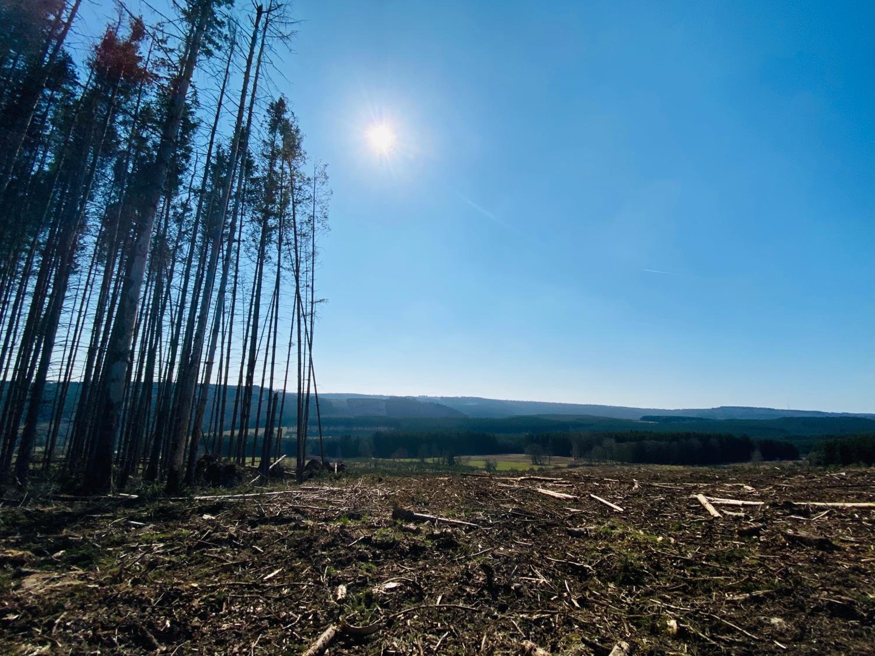 Le Héron - Gîte de charme clôturé, accès à la rivière - 6 ou 10 personnes